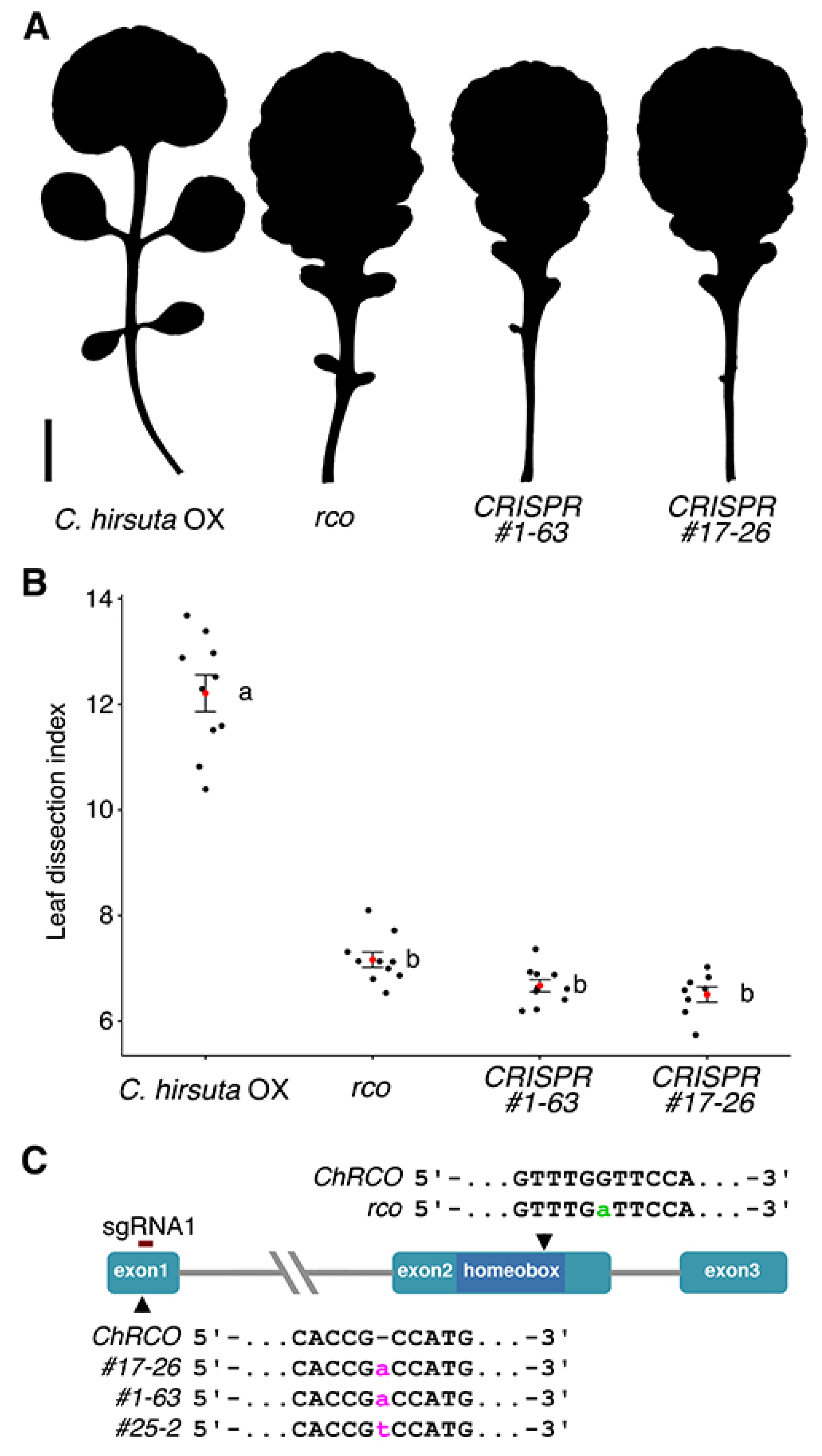 Plants 09 00268 g003