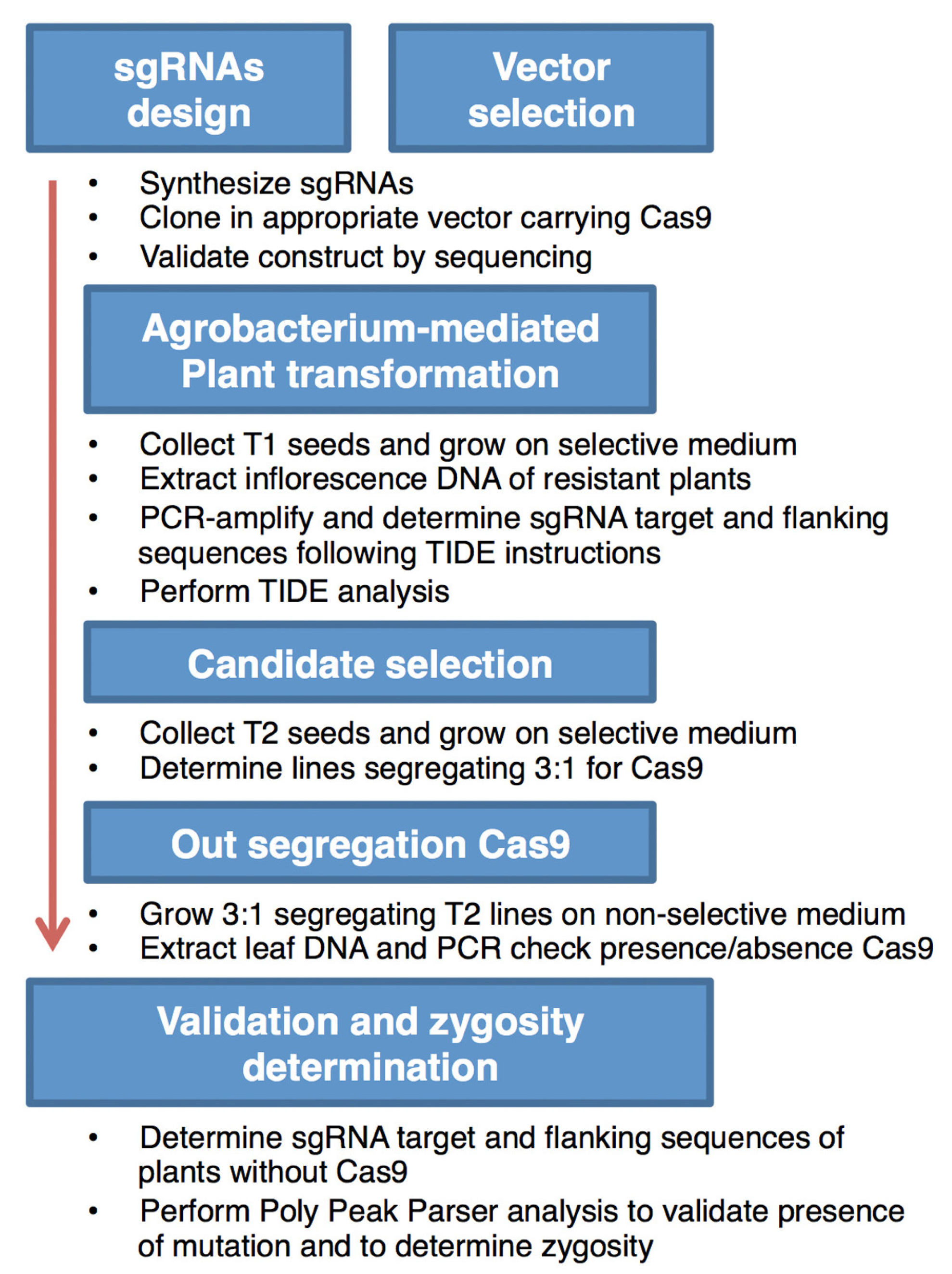 Plants 09 00268 g004