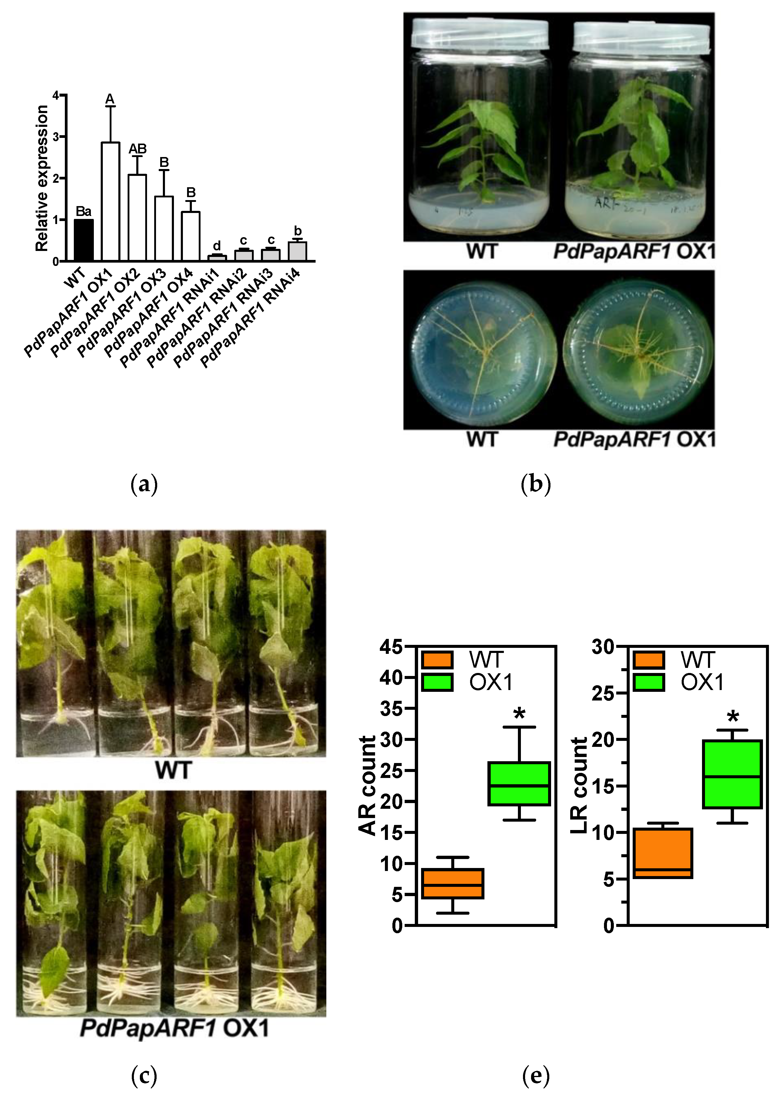 Plants 09 00272 g002a