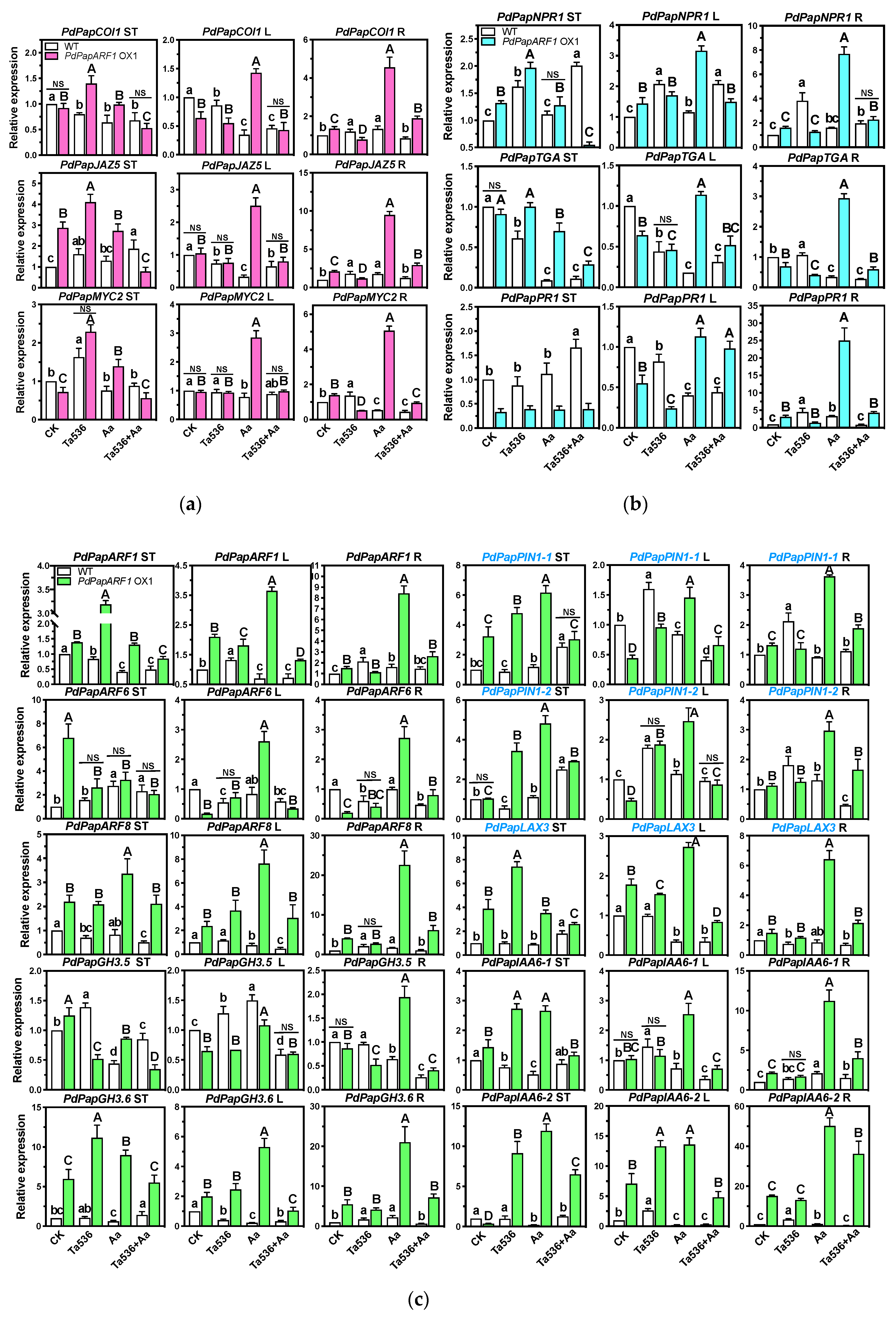 Plants 09 00272 g005