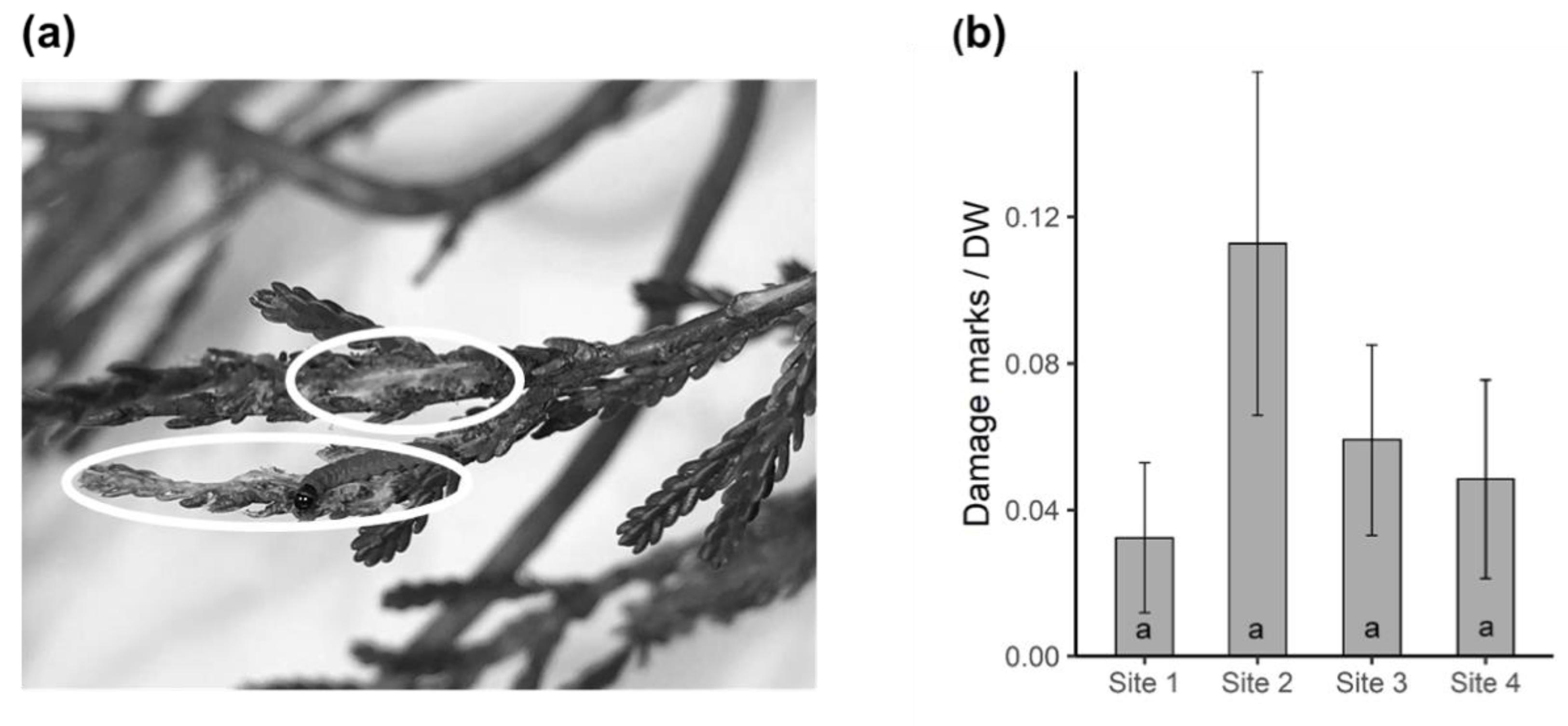 Plants 09 00283 g006