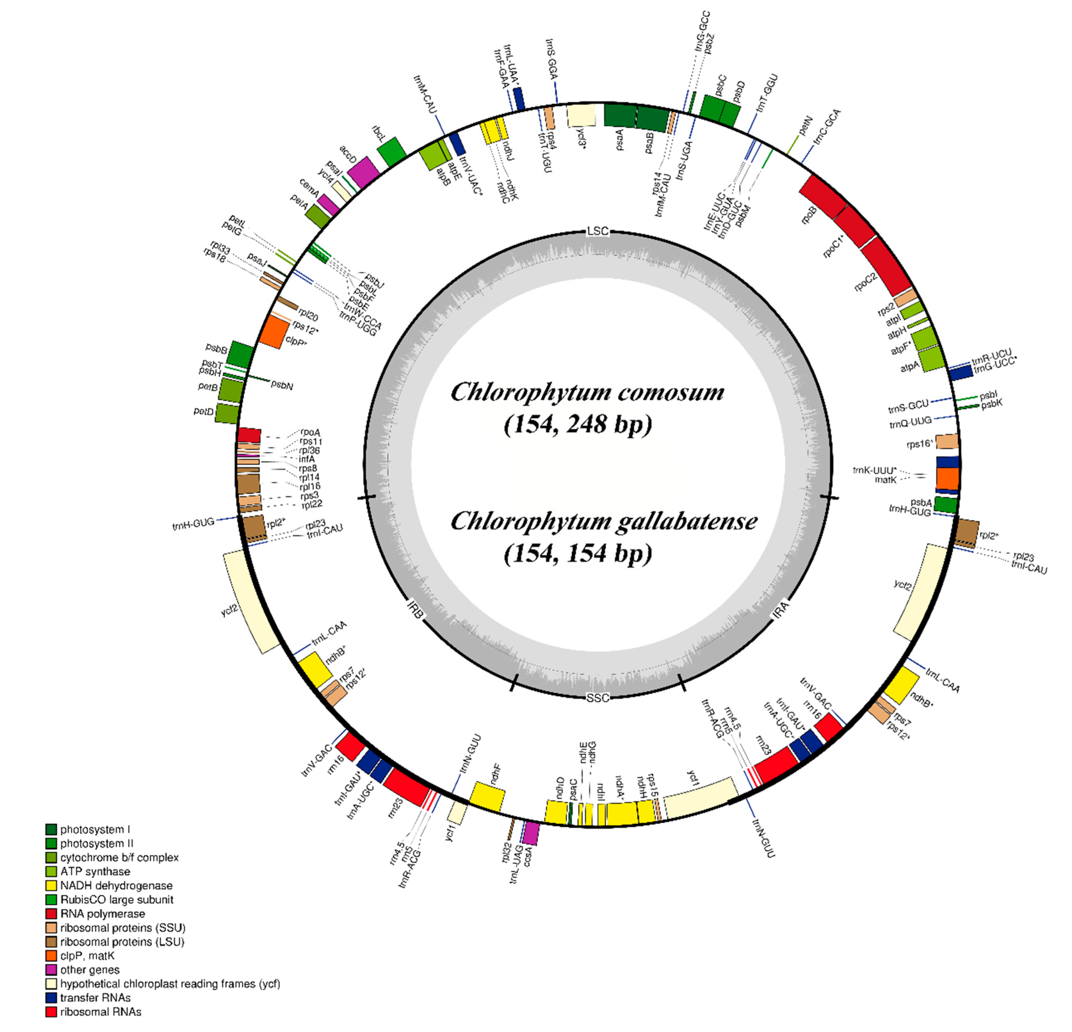 Plants 09 00296 g001