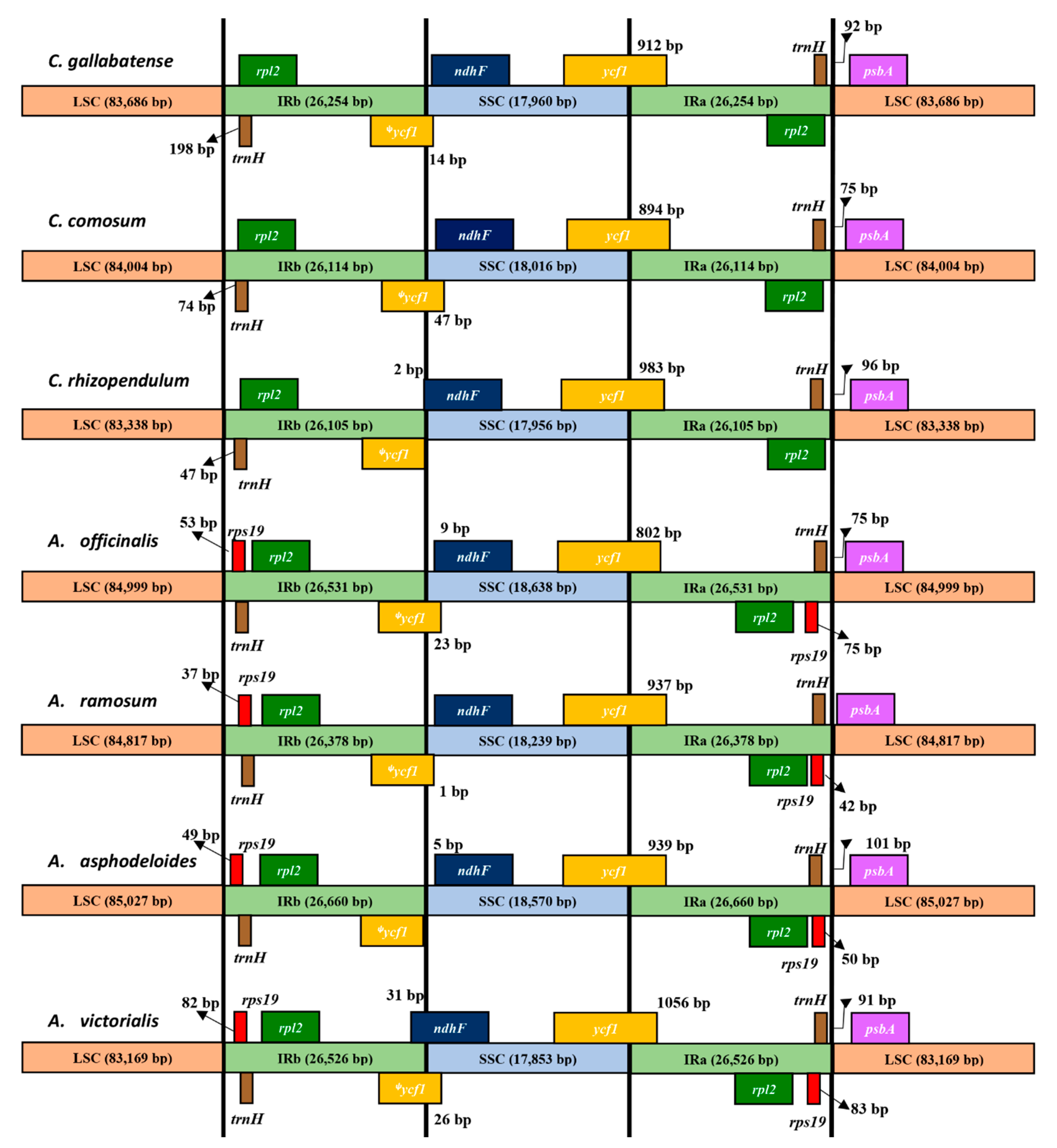 Plants 09 00296 g005