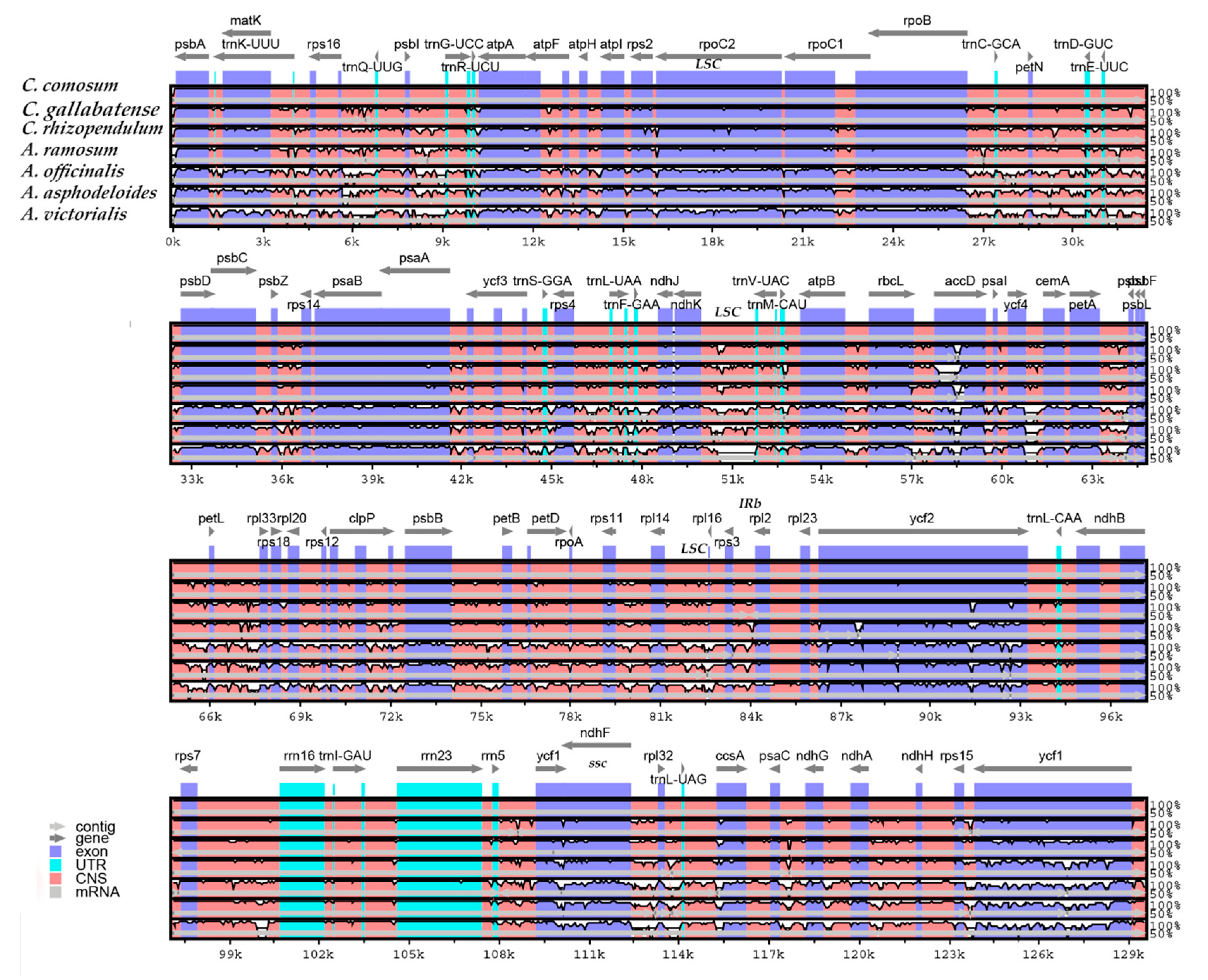 Plants 09 00296 g007