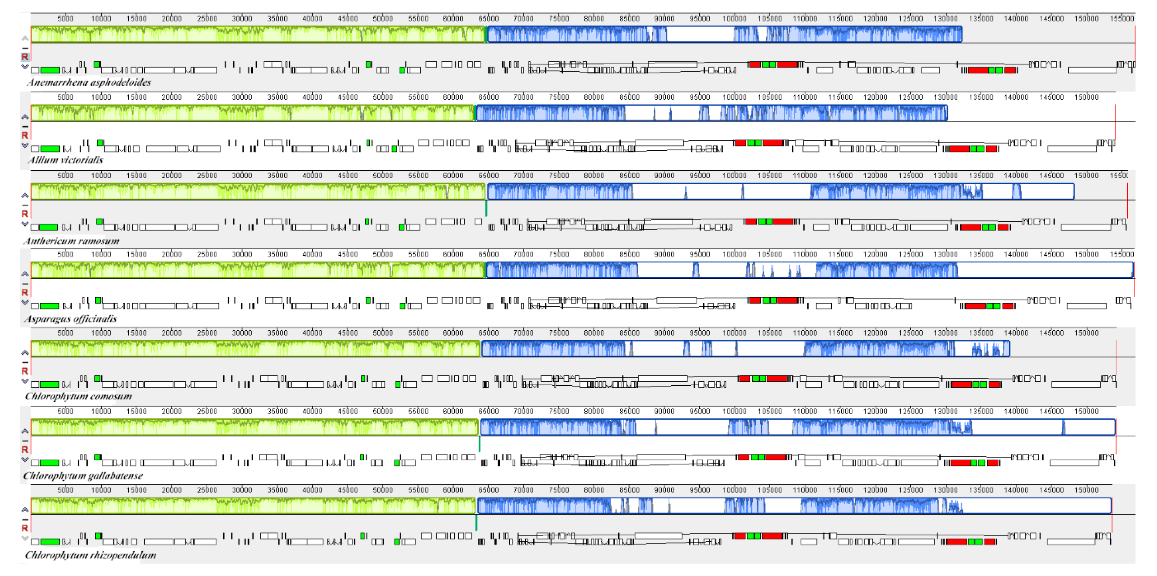 Plants 09 00296 g008