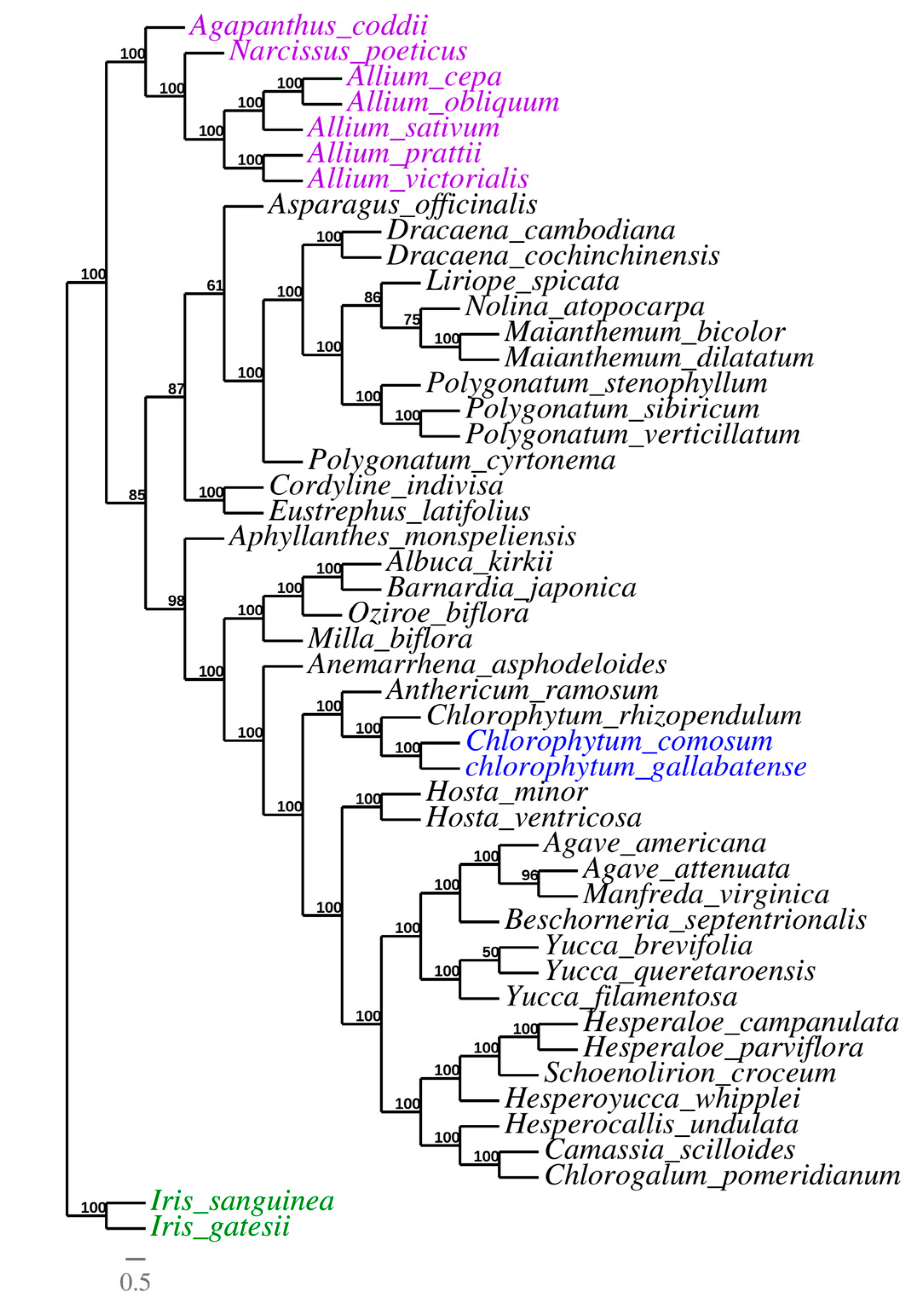 Plants 09 00296 g009