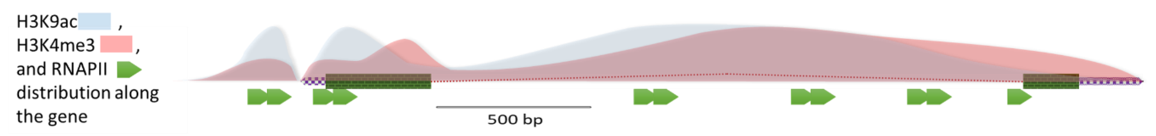 Plants 09 00300 sch001
