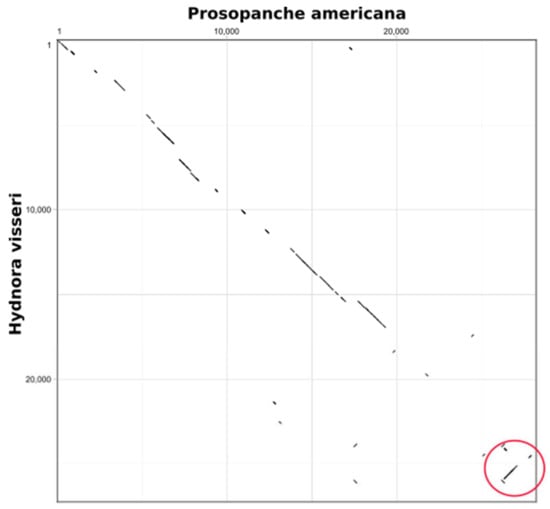 Plants 09 00306 g0a1