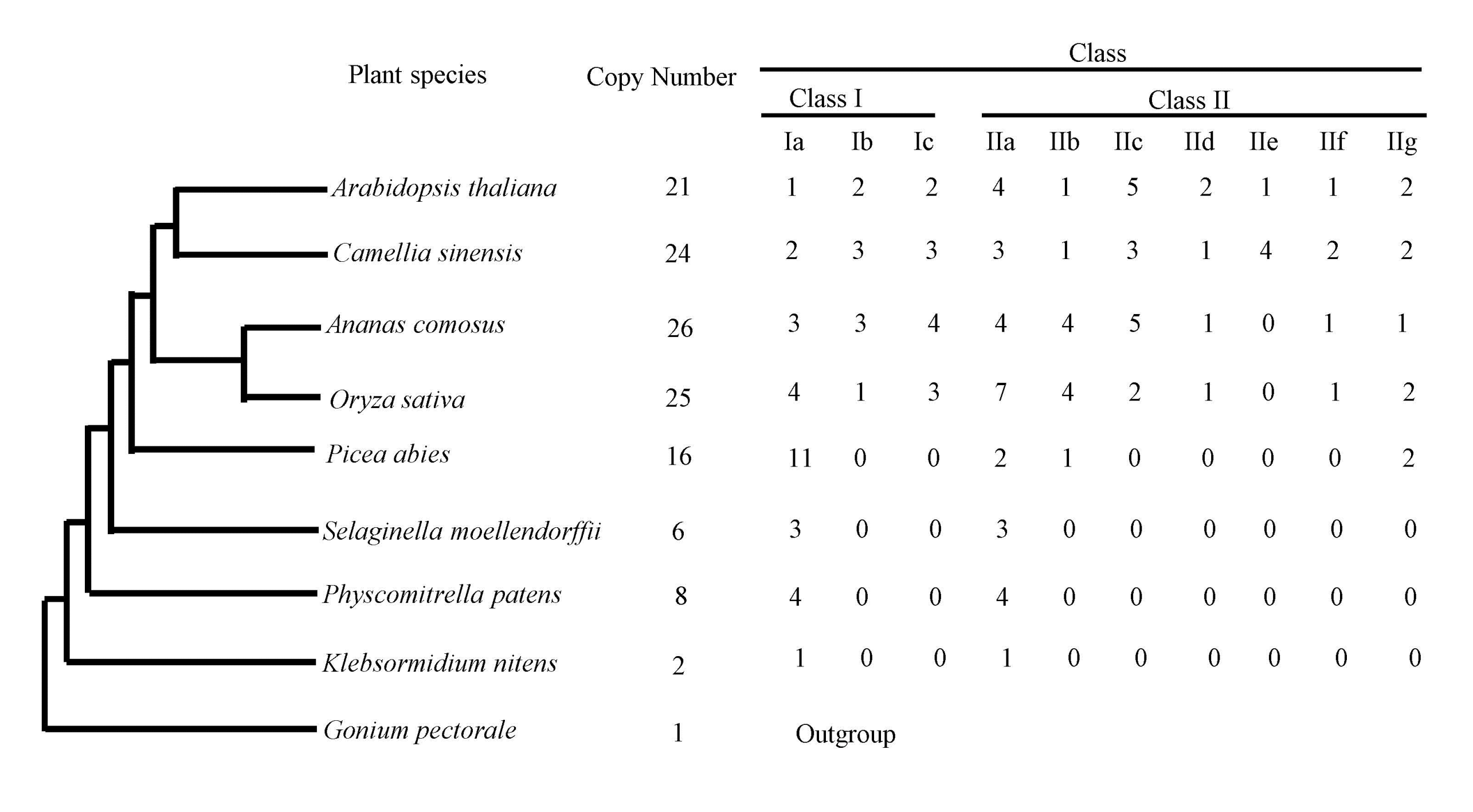 Plants 09 00311 g001