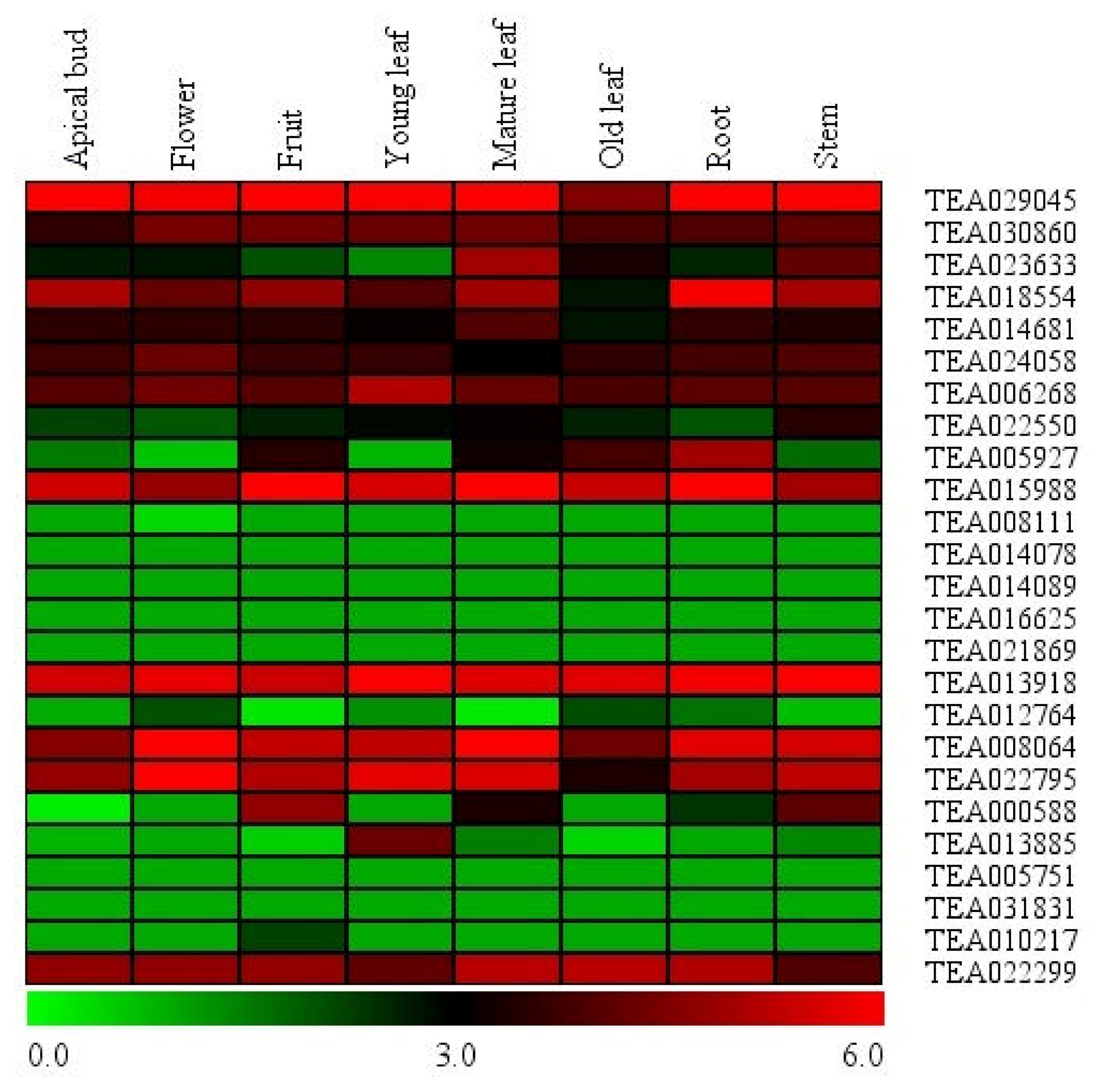 Plants 09 00311 g003