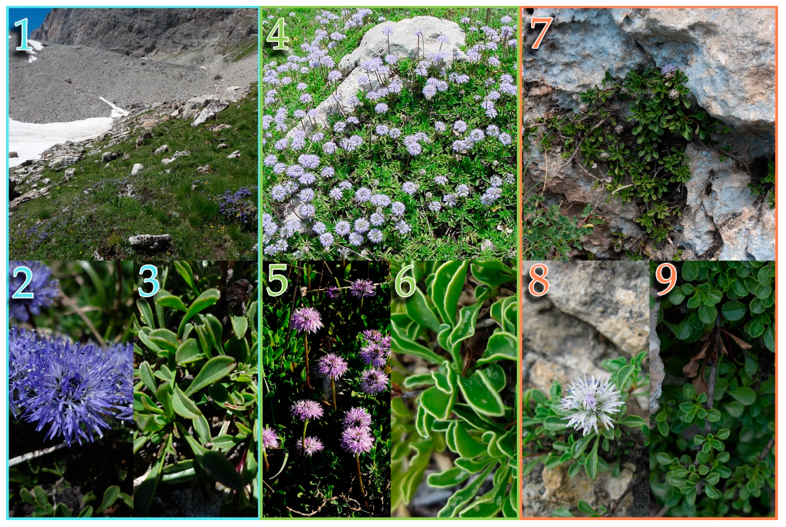 Plants 09 00314 g001