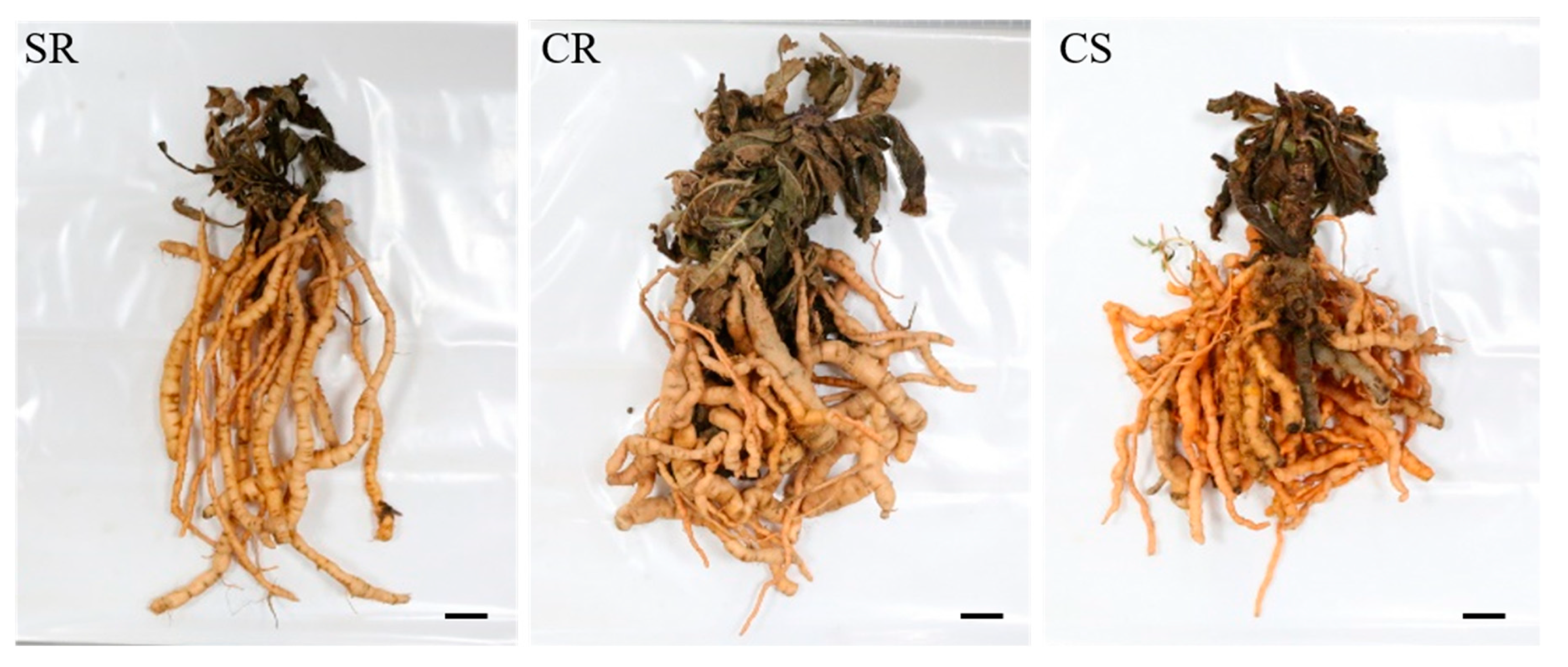 Plants 09 00317 g003 Plants 09 00317 g003