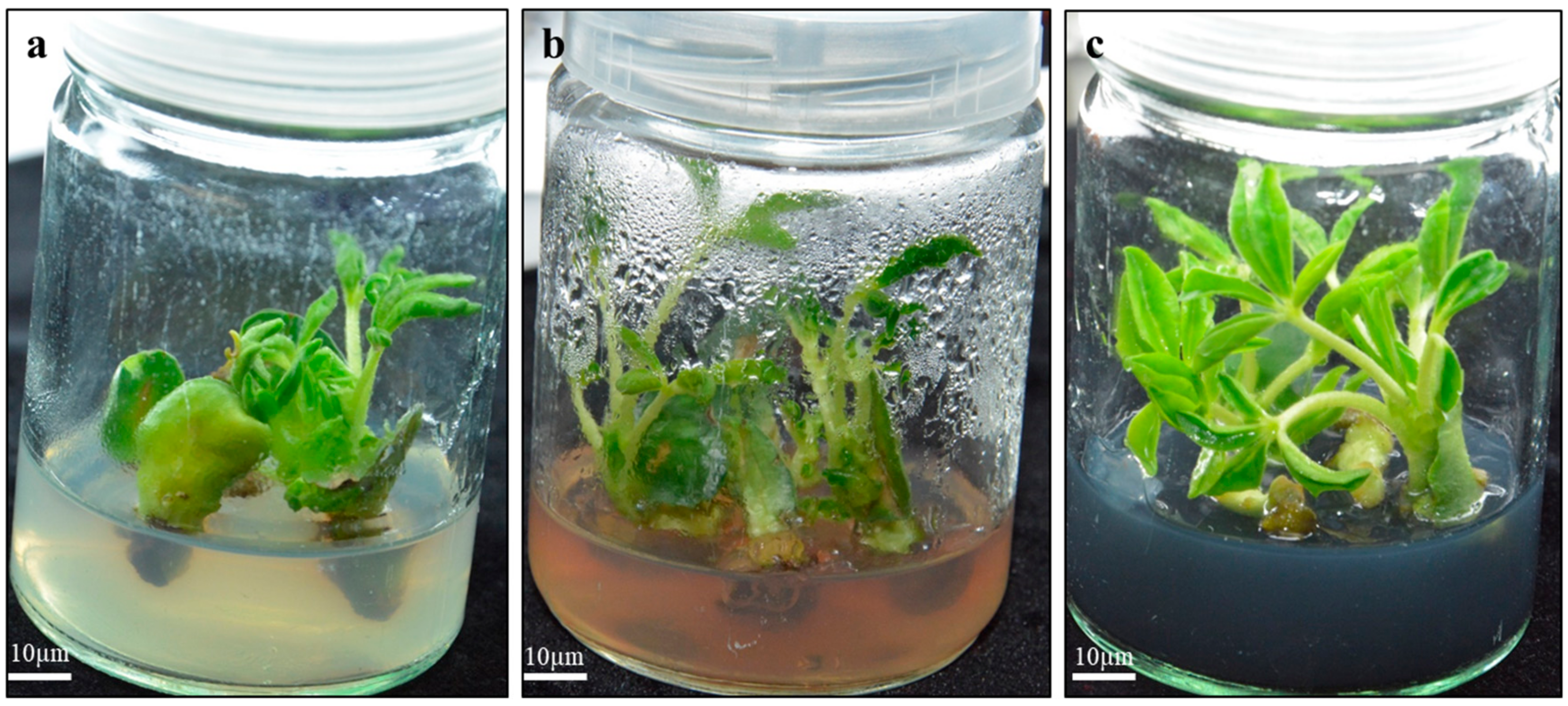 Plants 09 00318 g005 Plants 09 00318 g005