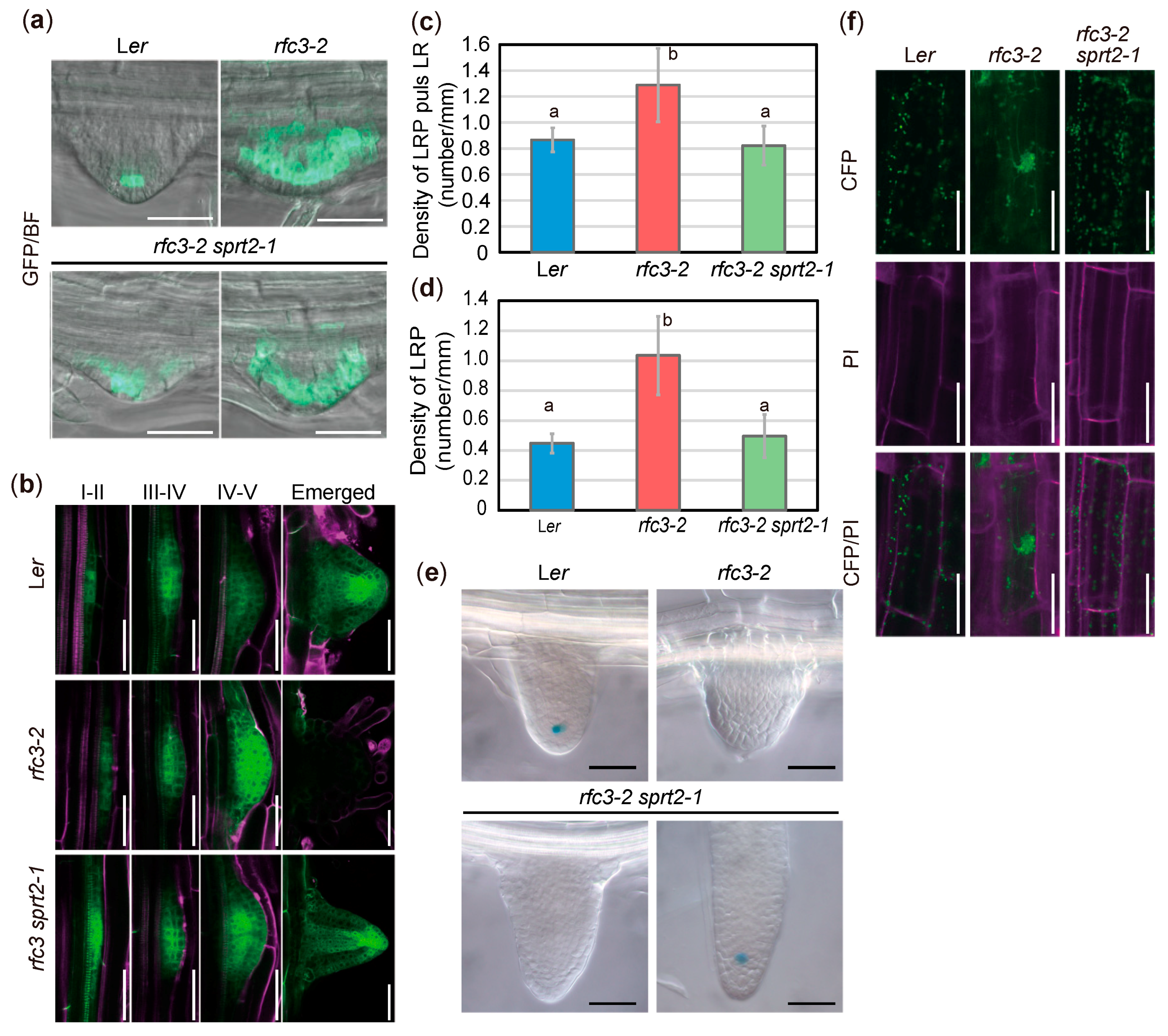 Plants 09 00328 g004 Plants 09 00328 g004