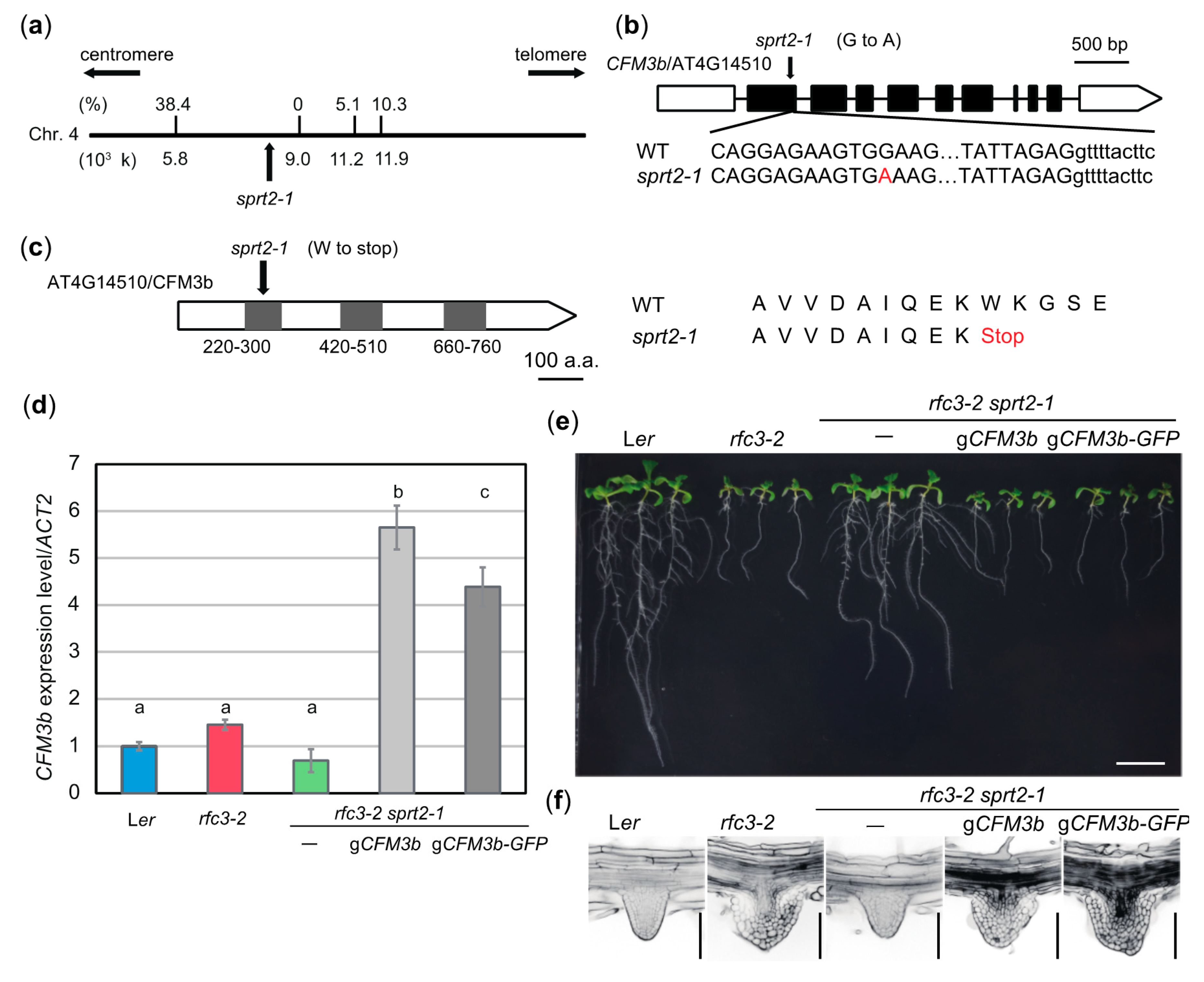 Plants 09 00328 g007 Plants 09 00328 g007