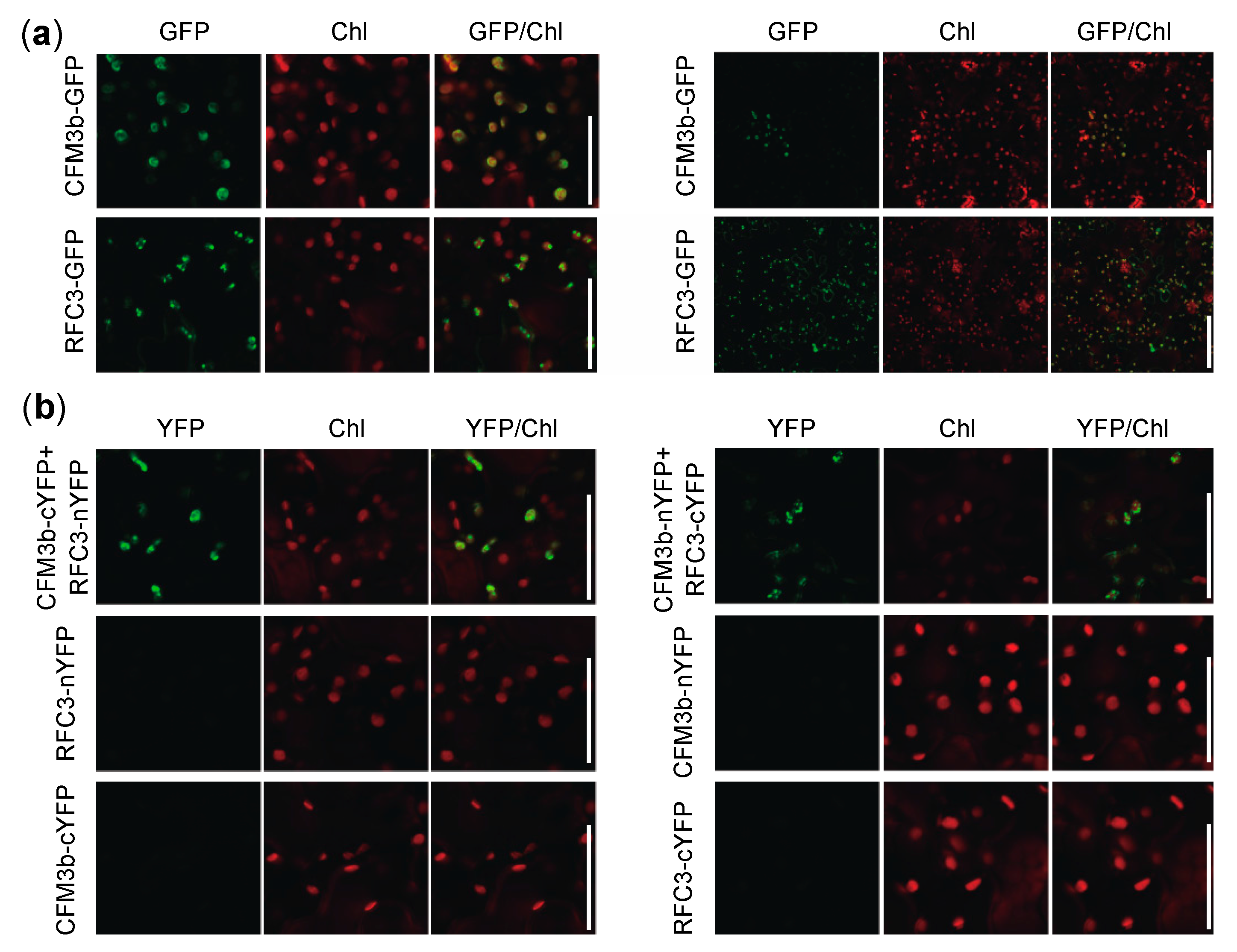 Plants 09 00328 g009 Plants 09 00328 g009