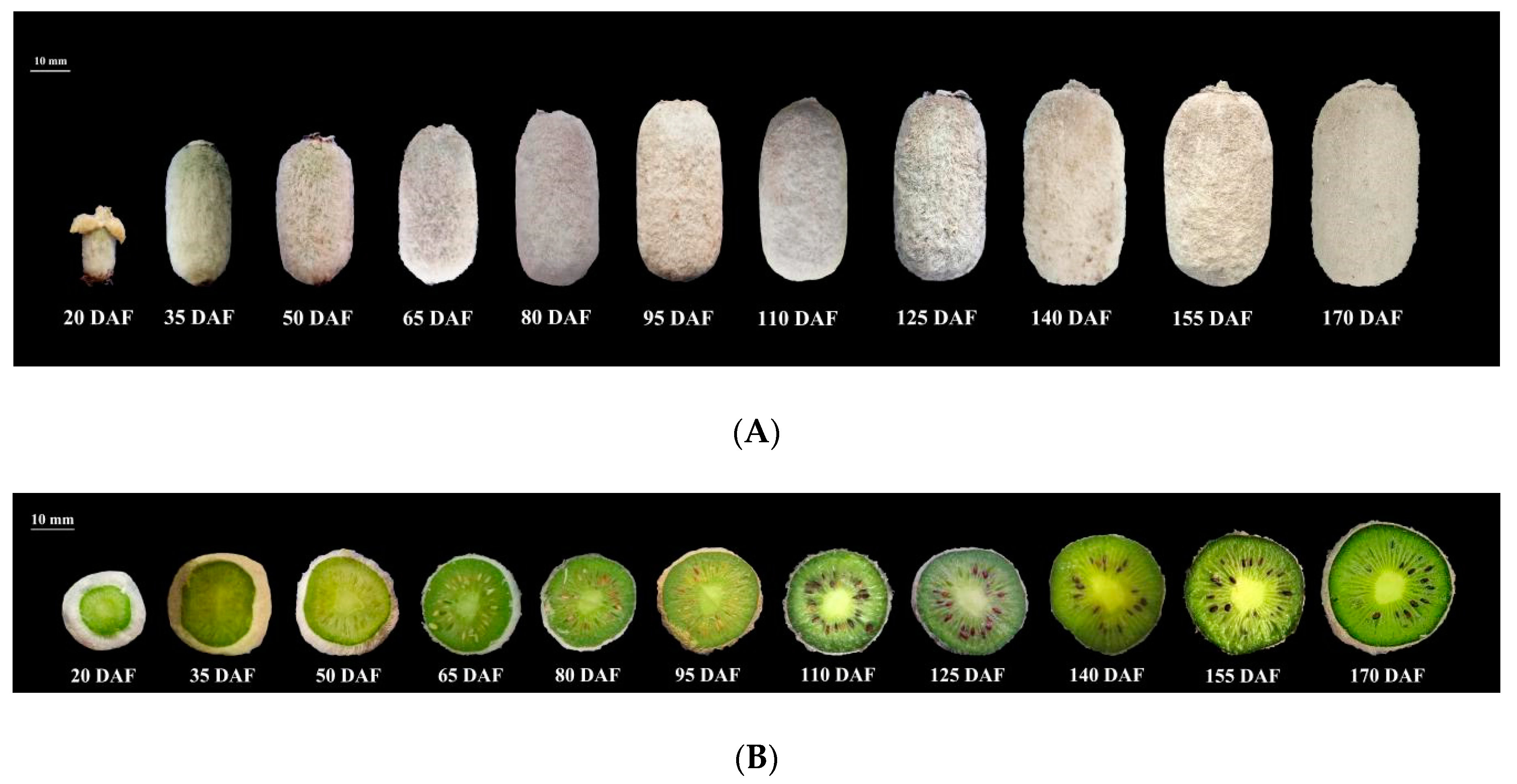 Plants 09 00332 g006