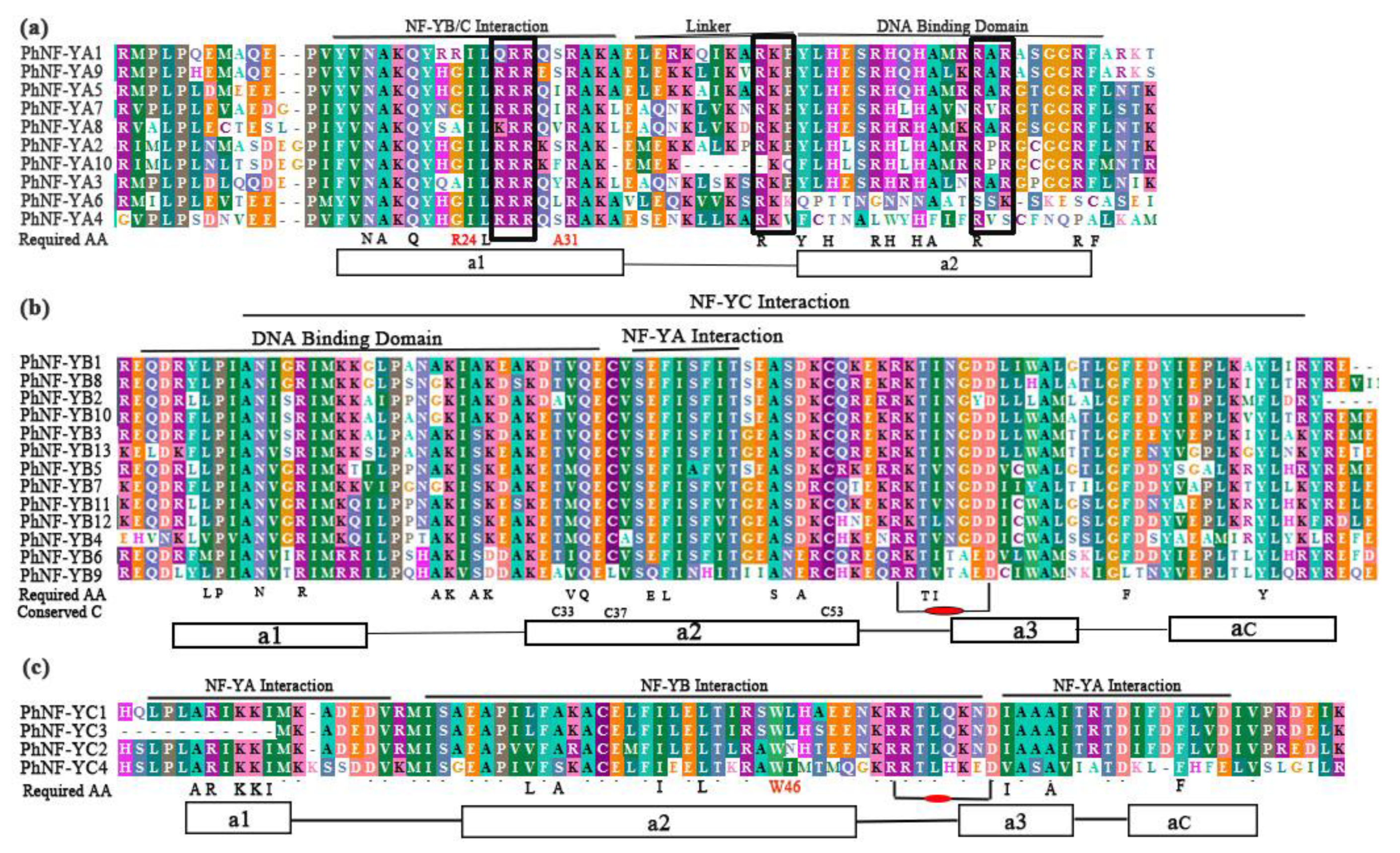 Plants 09 00336 g001