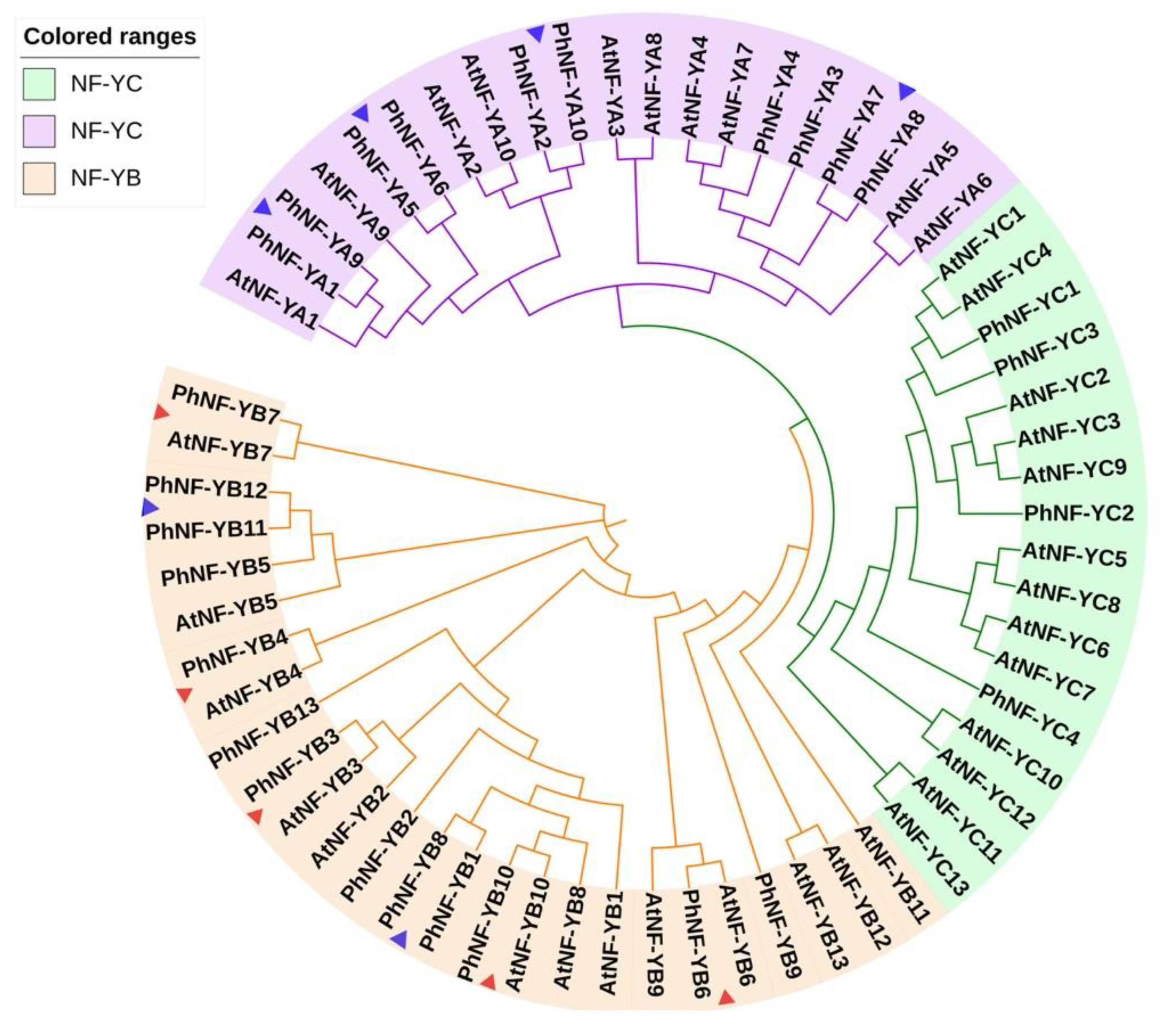 Plants 09 00336 g002