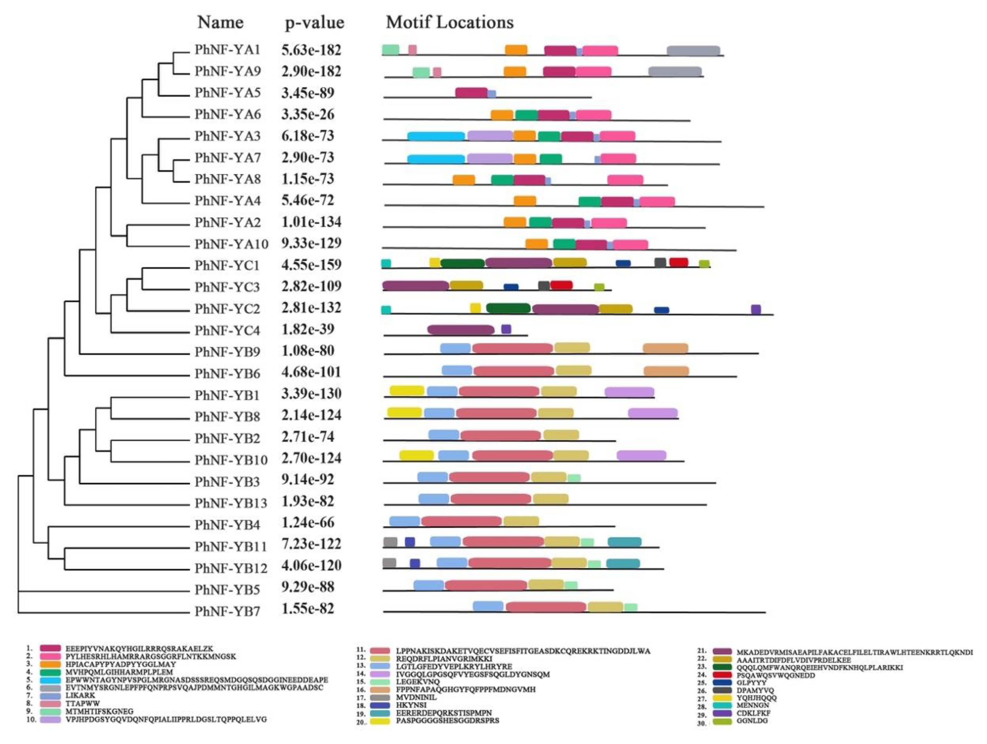 Plants 09 00336 g004