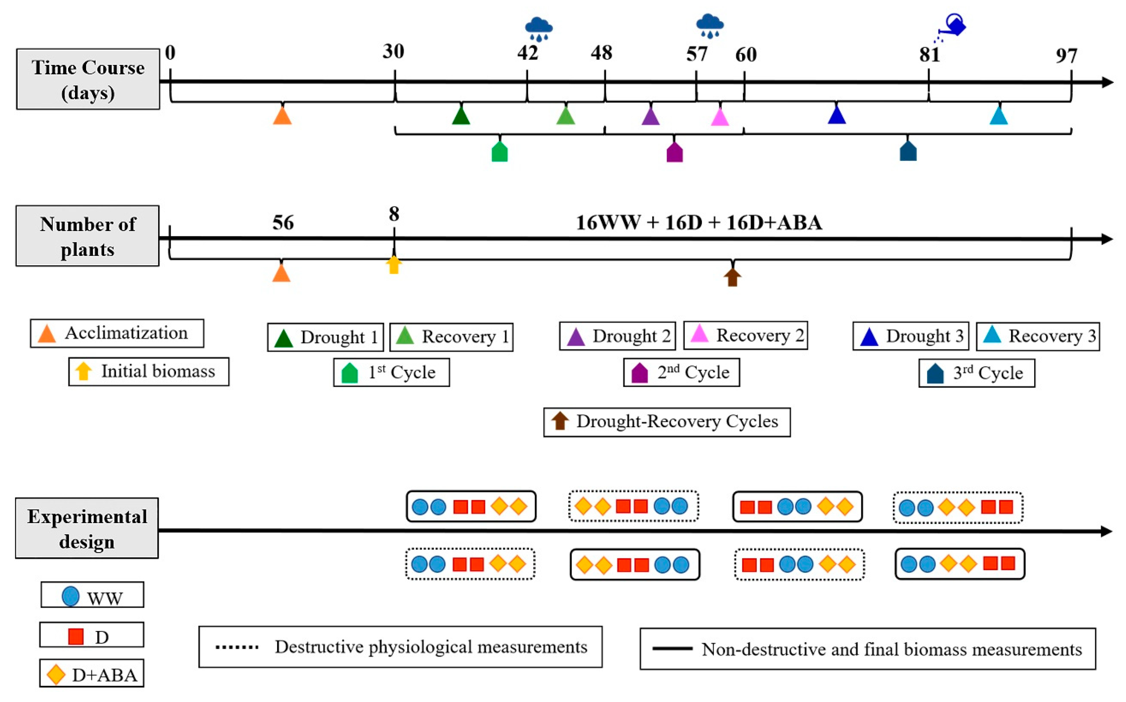 Plants 09 00341 g001