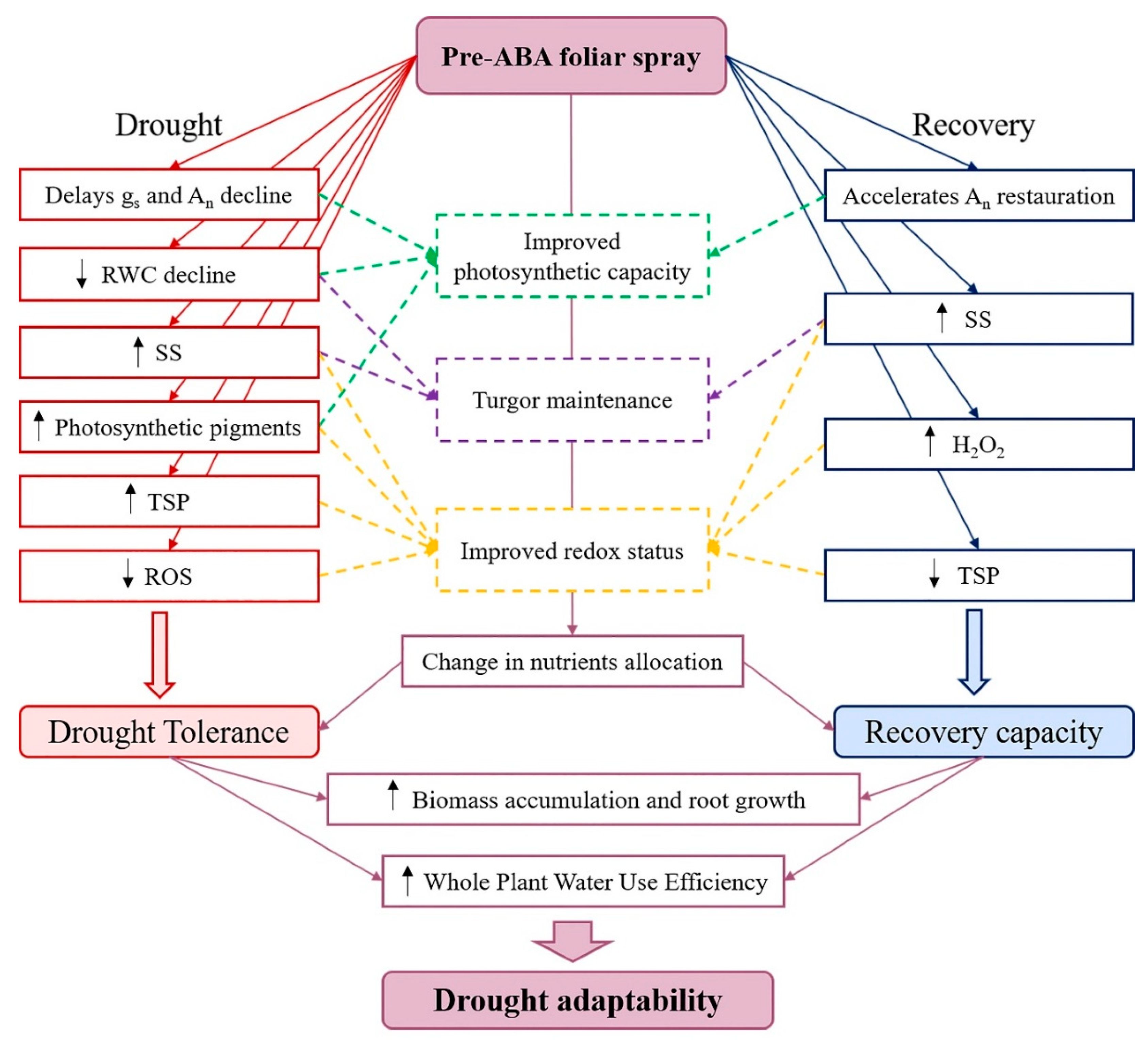 Plants 09 00341 g004