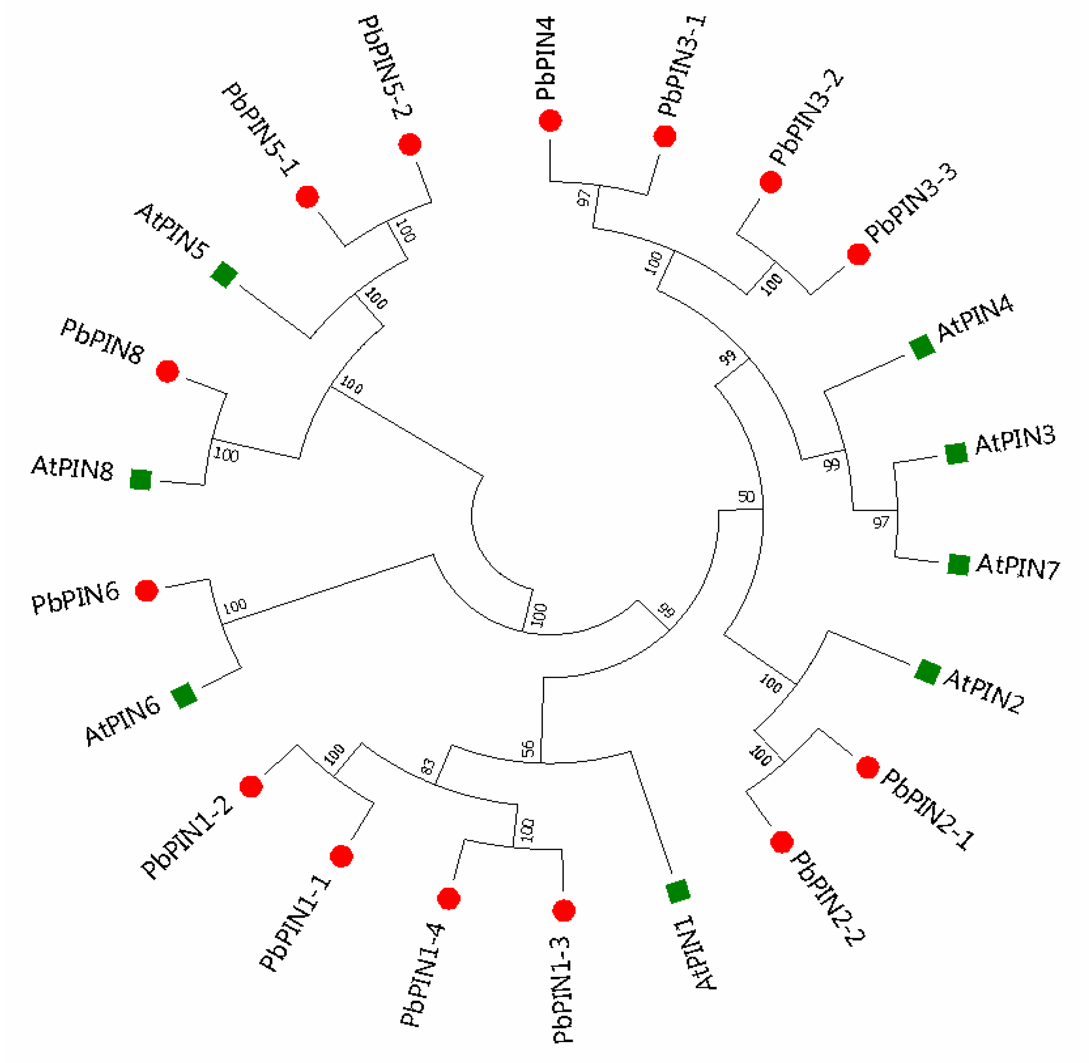 Plants 09 00349 g001