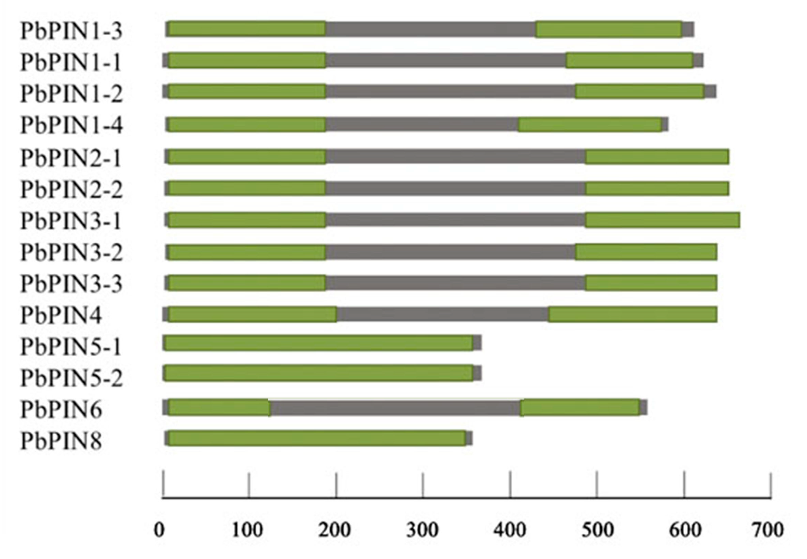 Plants 09 00349 g003