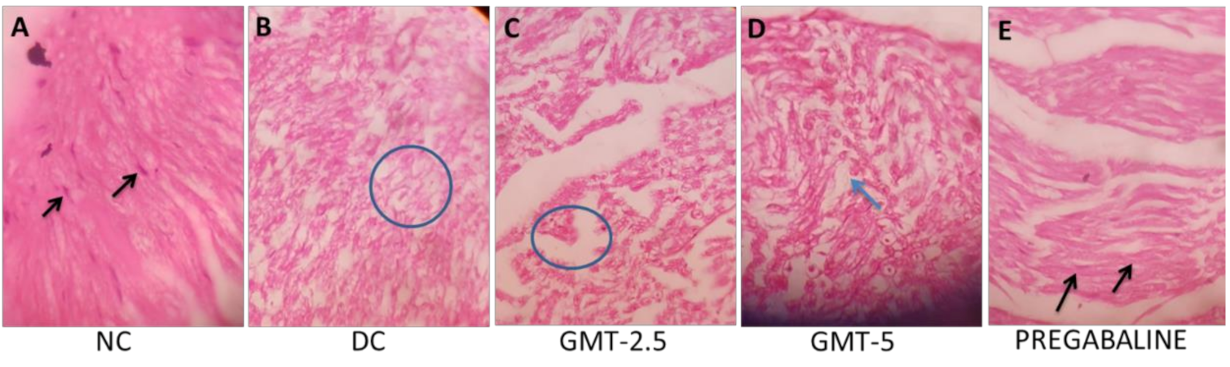 Plants 09 00356 g001