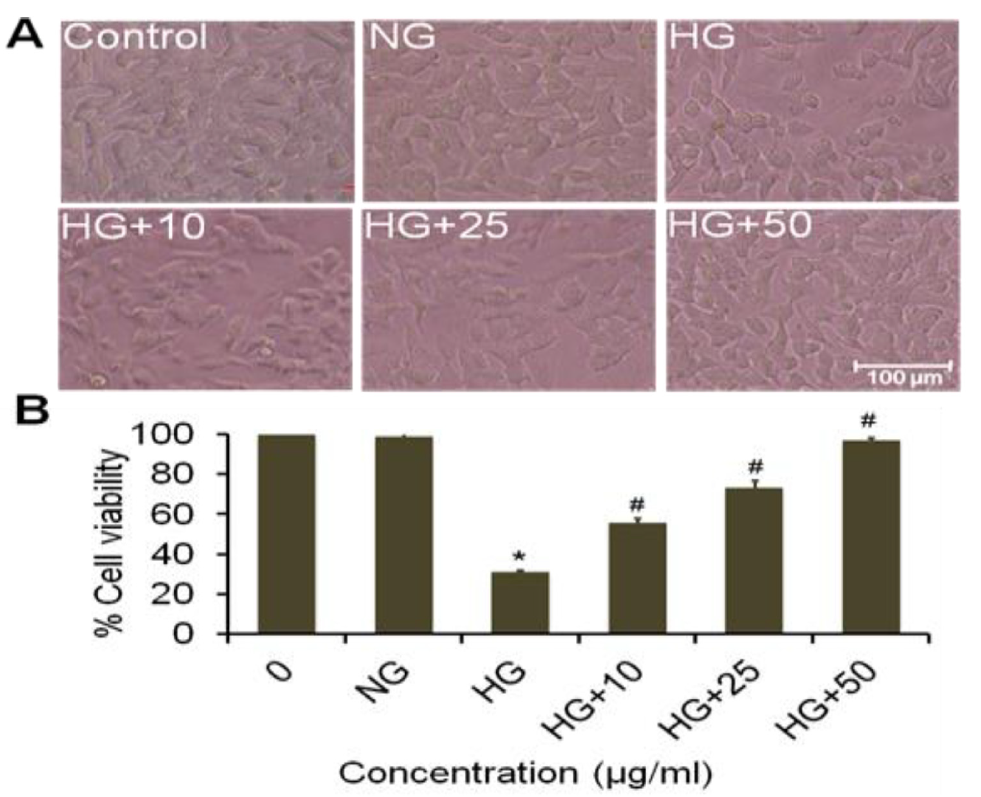 Plants 09 00356 g004