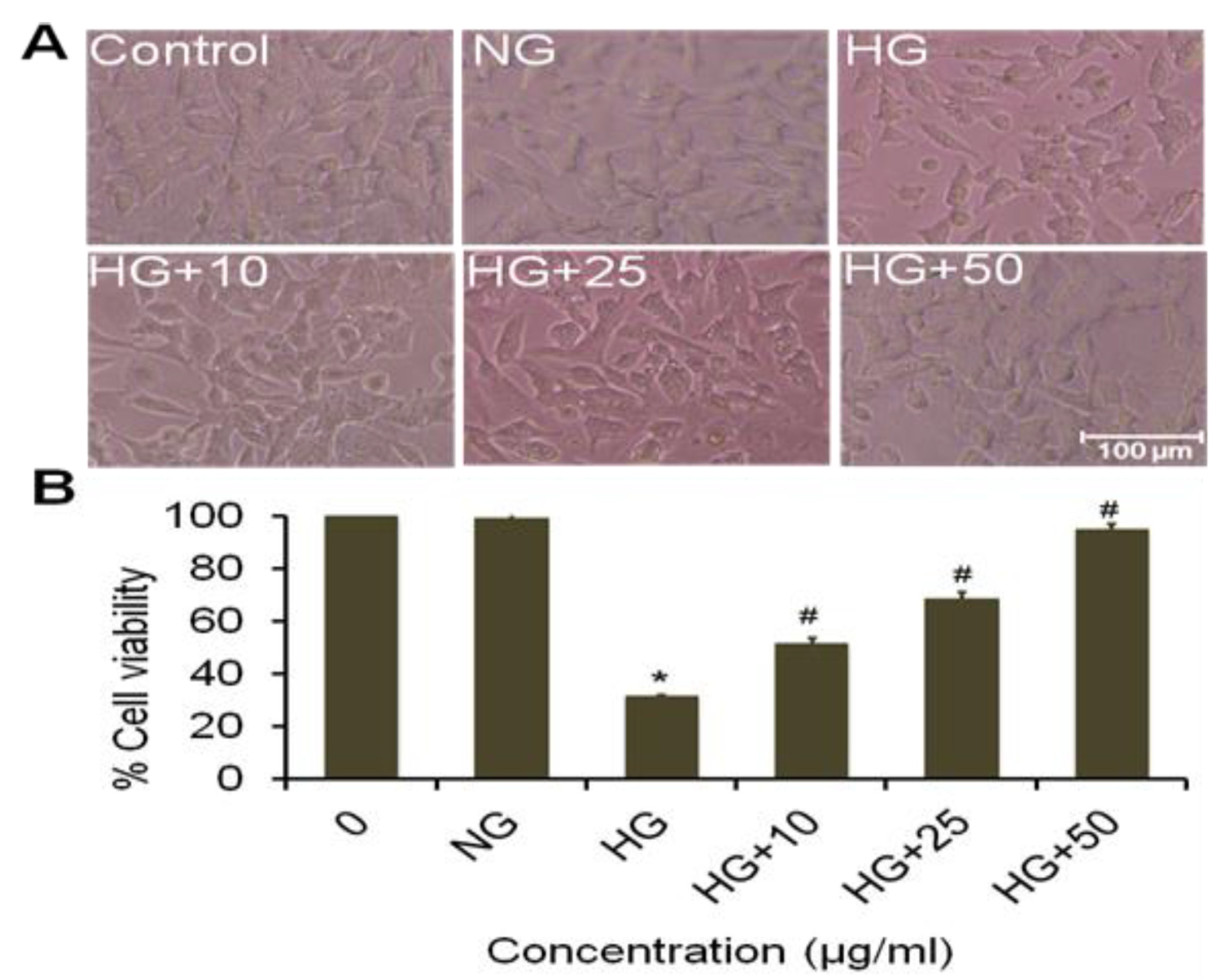 Plants 09 00356 g005