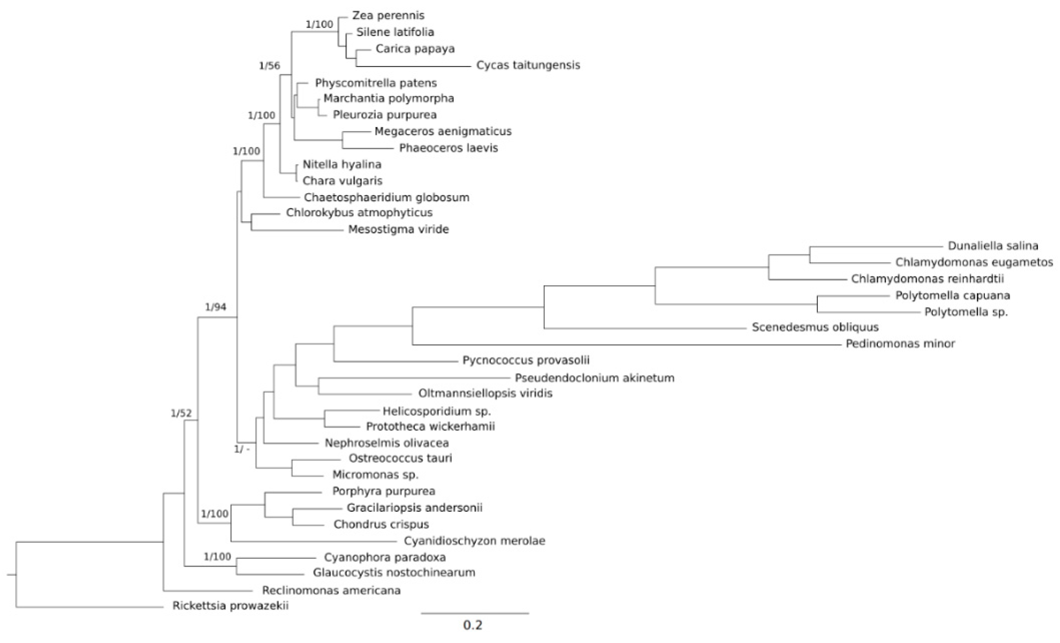 Plants 09 00358 g001