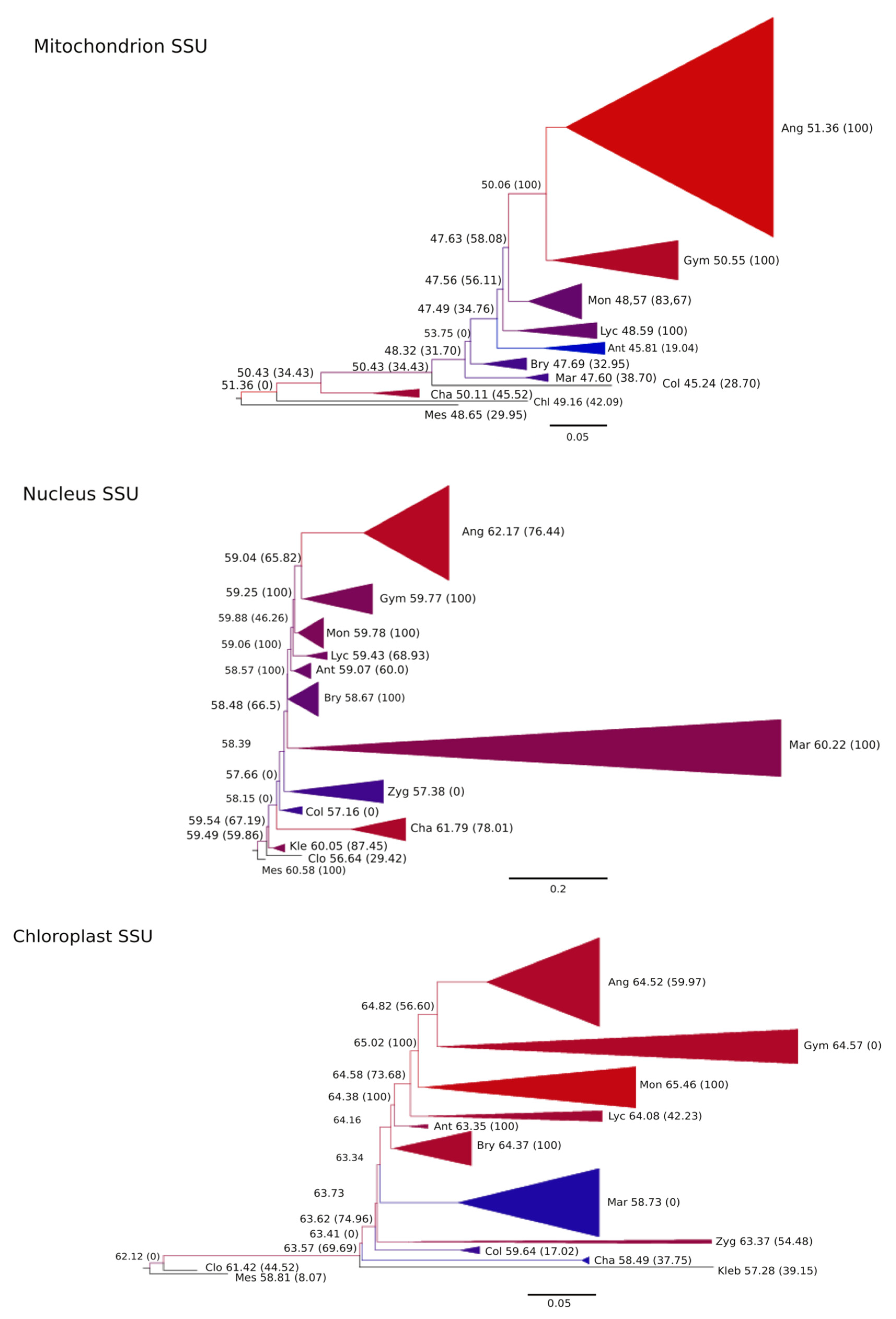 Plants 09 00358 g003