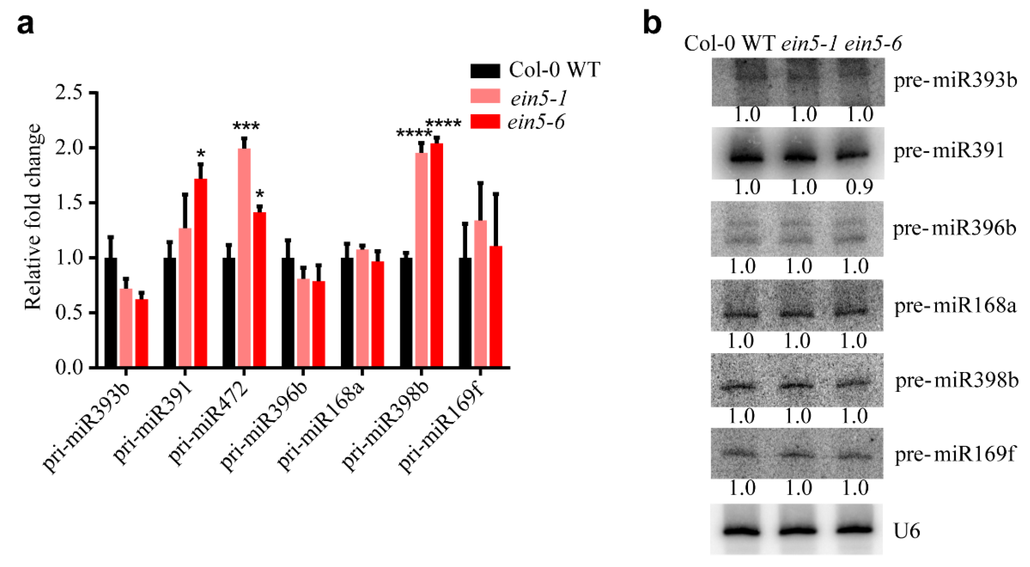 Plants 09 00362 g003