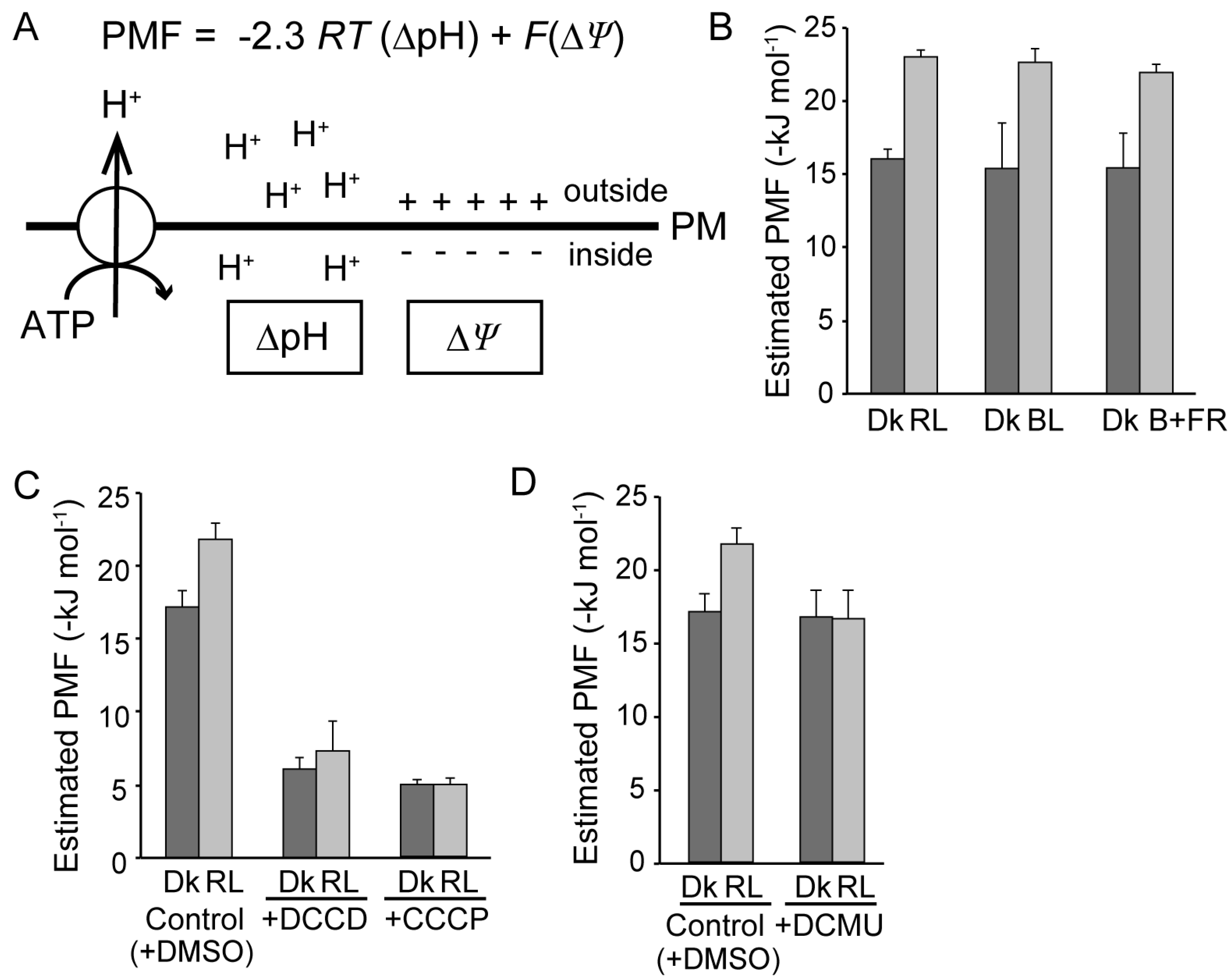 Plants 09 00376 g002