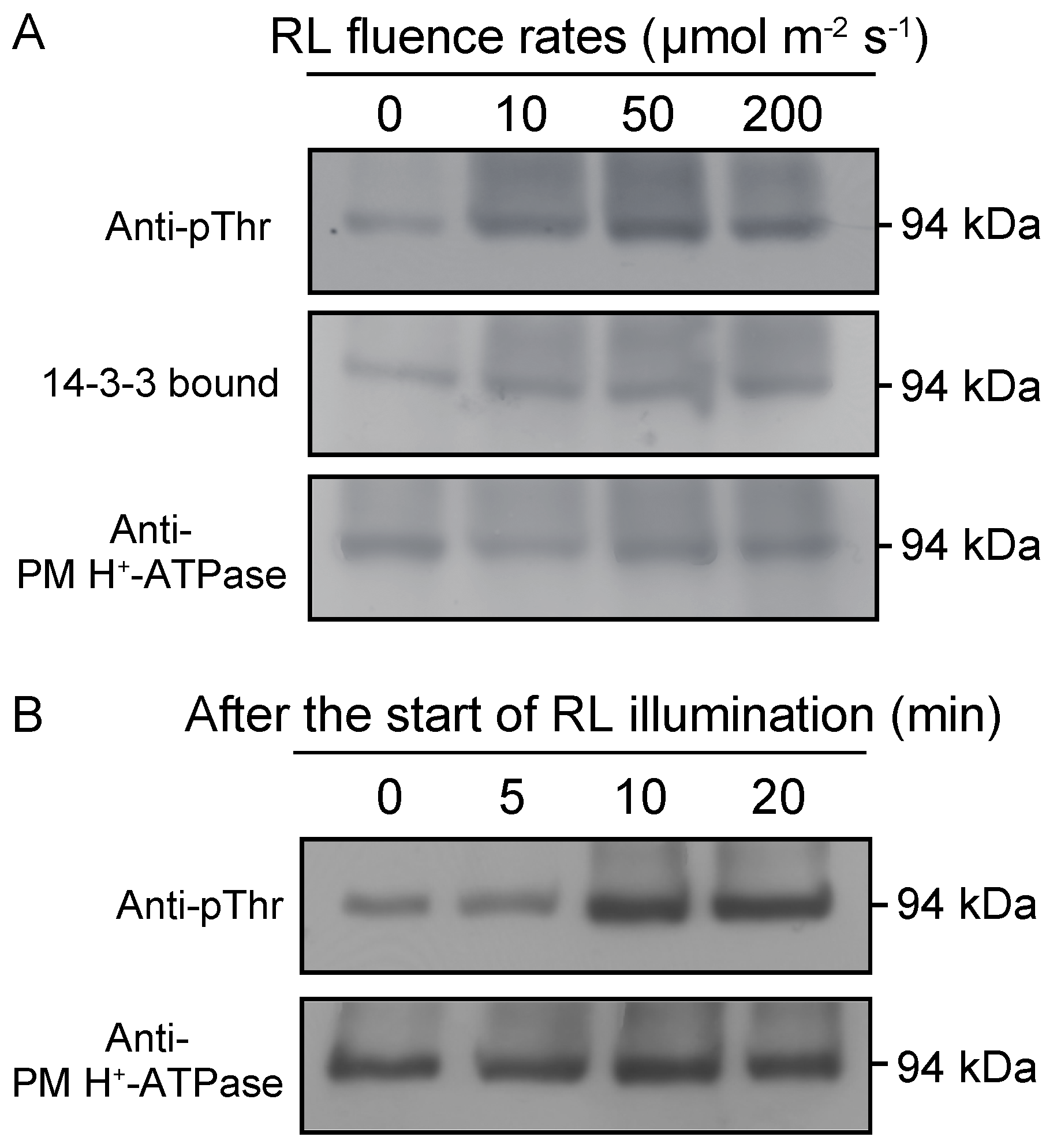 Plants 09 00376 g003