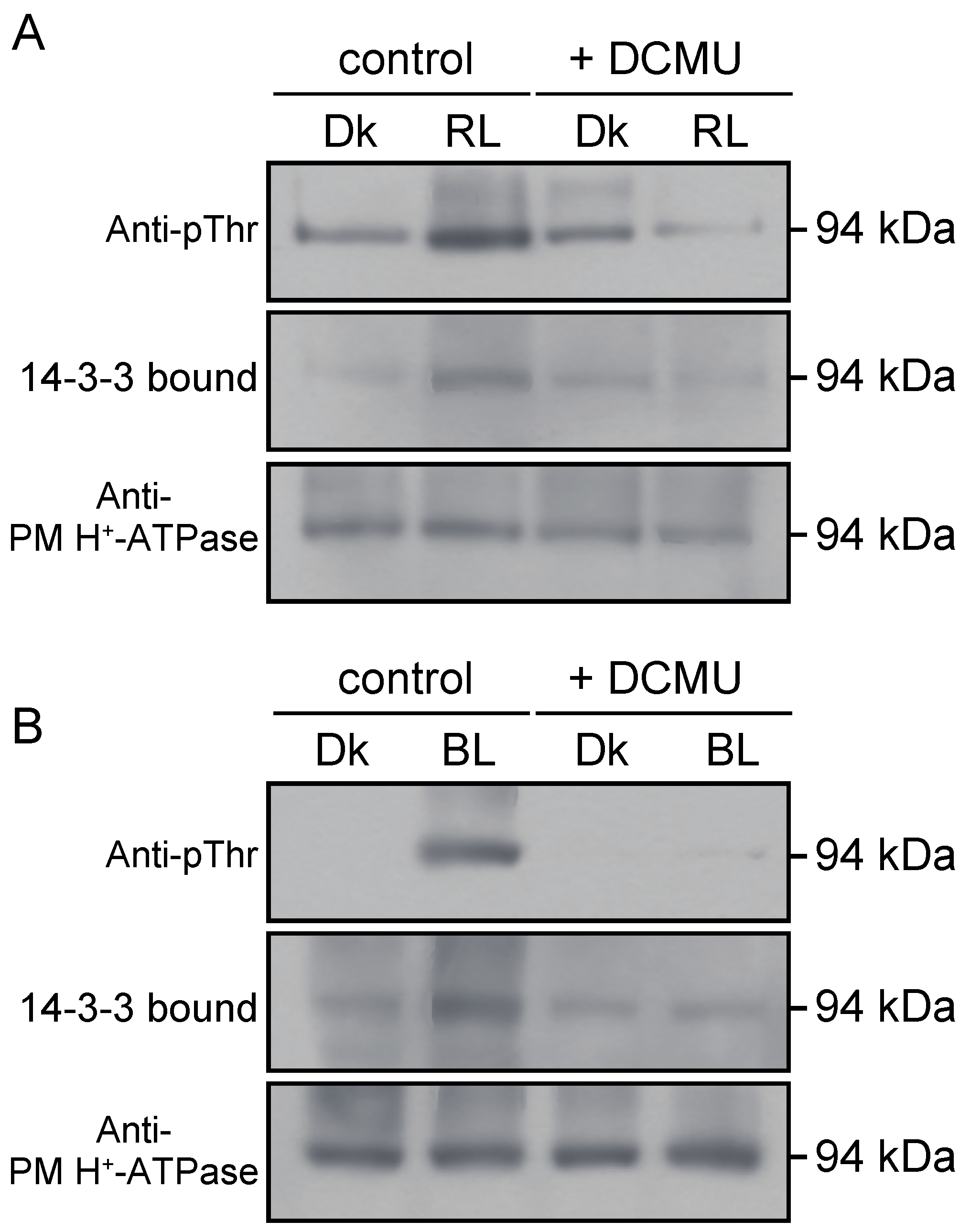 Plants 09 00376 g004
