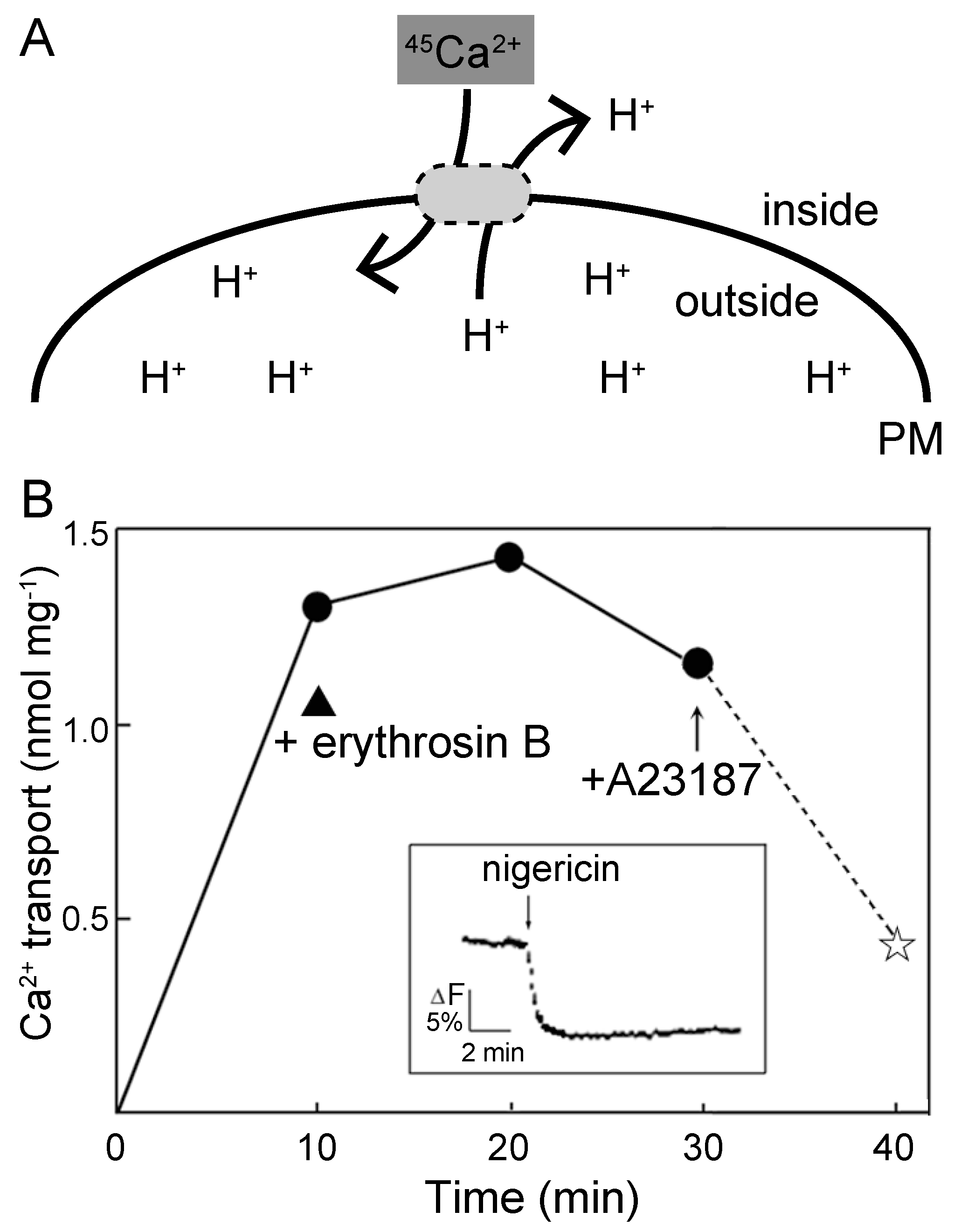 Plants 09 00376 g005