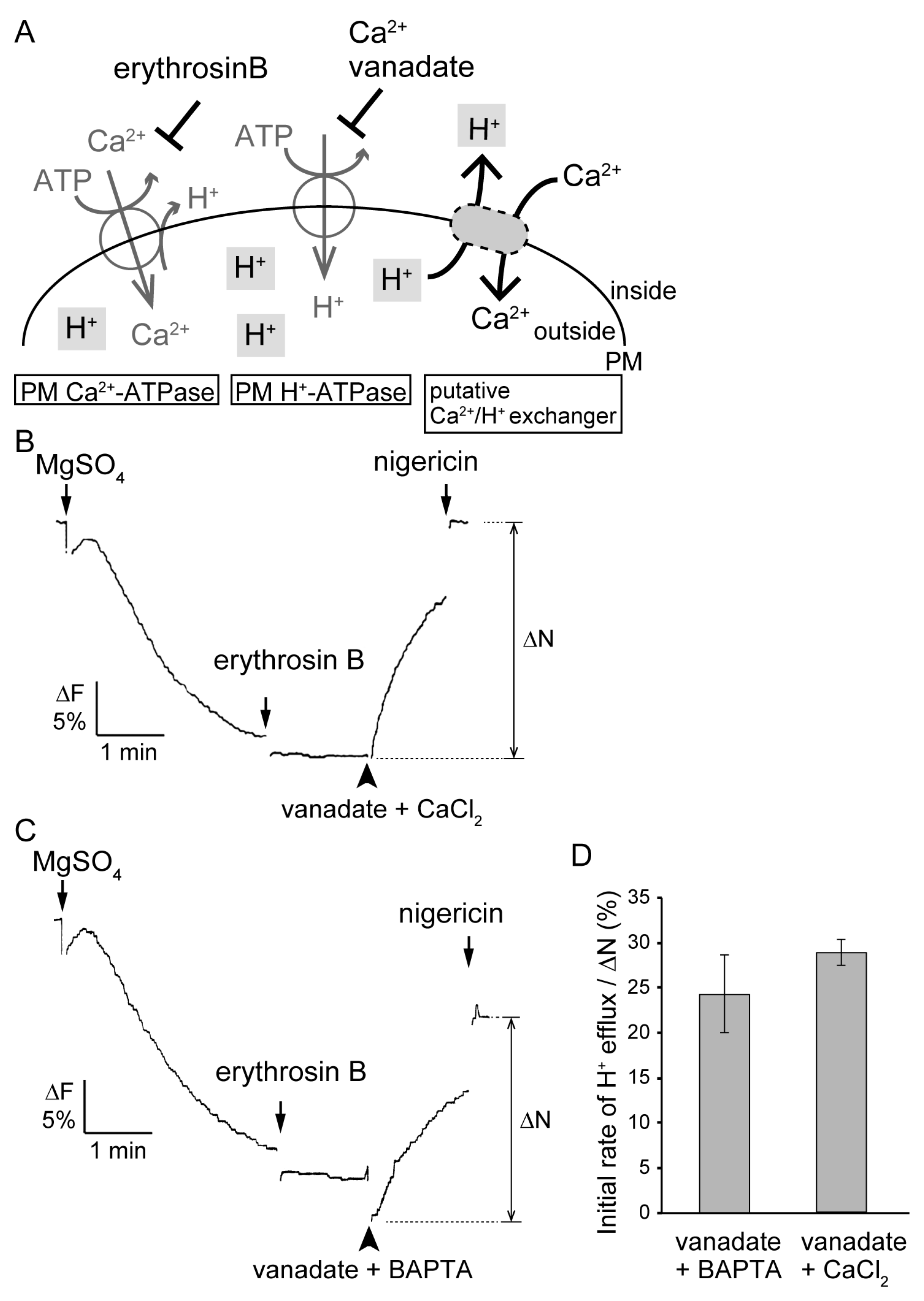 Plants 09 00376 g006
