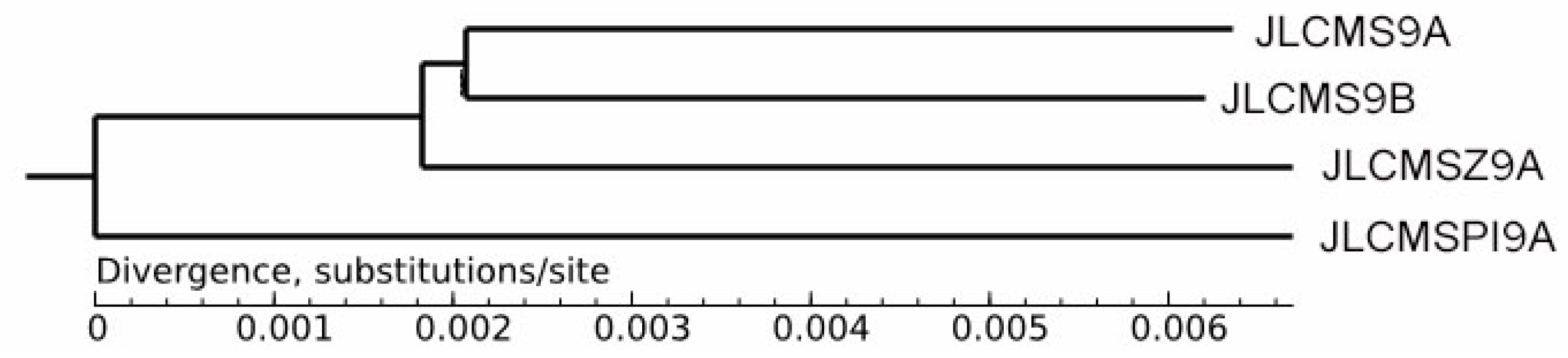 Plants 09 00385 g007