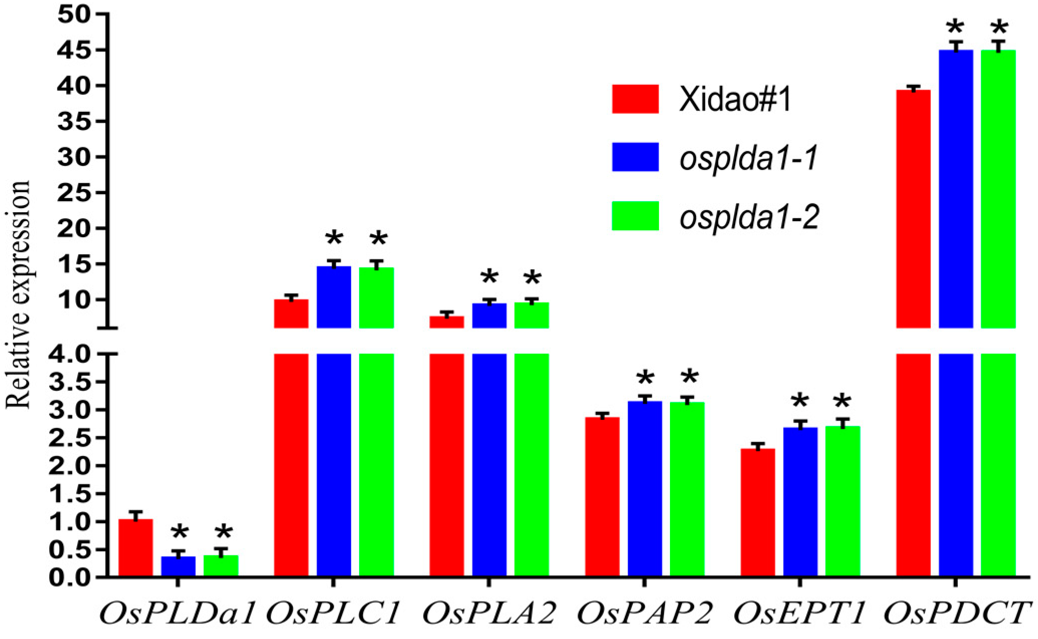Plants 09 00390 g002