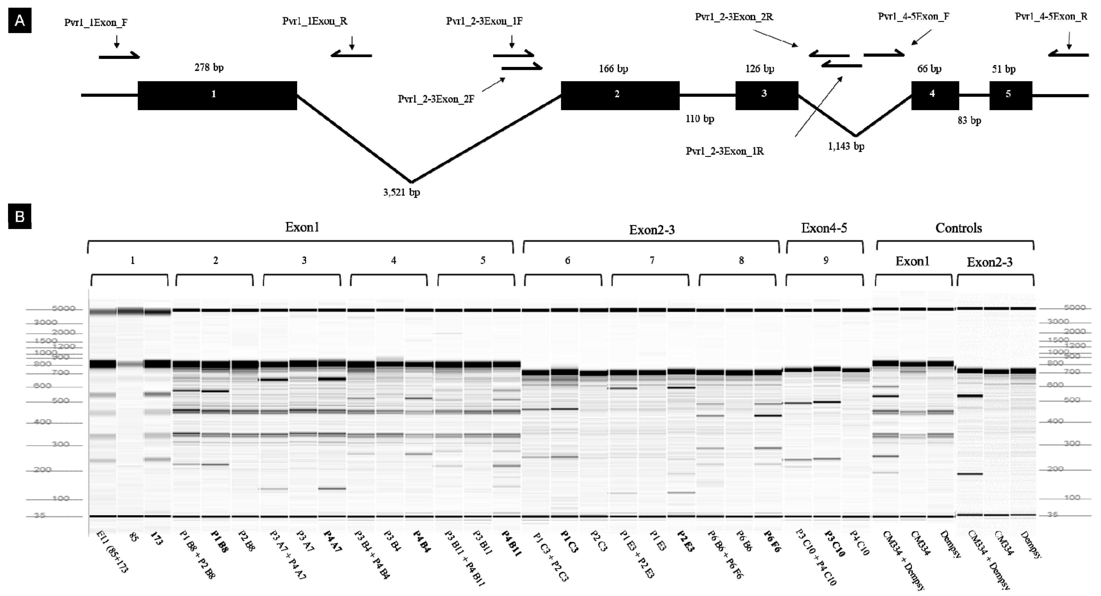Plants 09 00396 g009