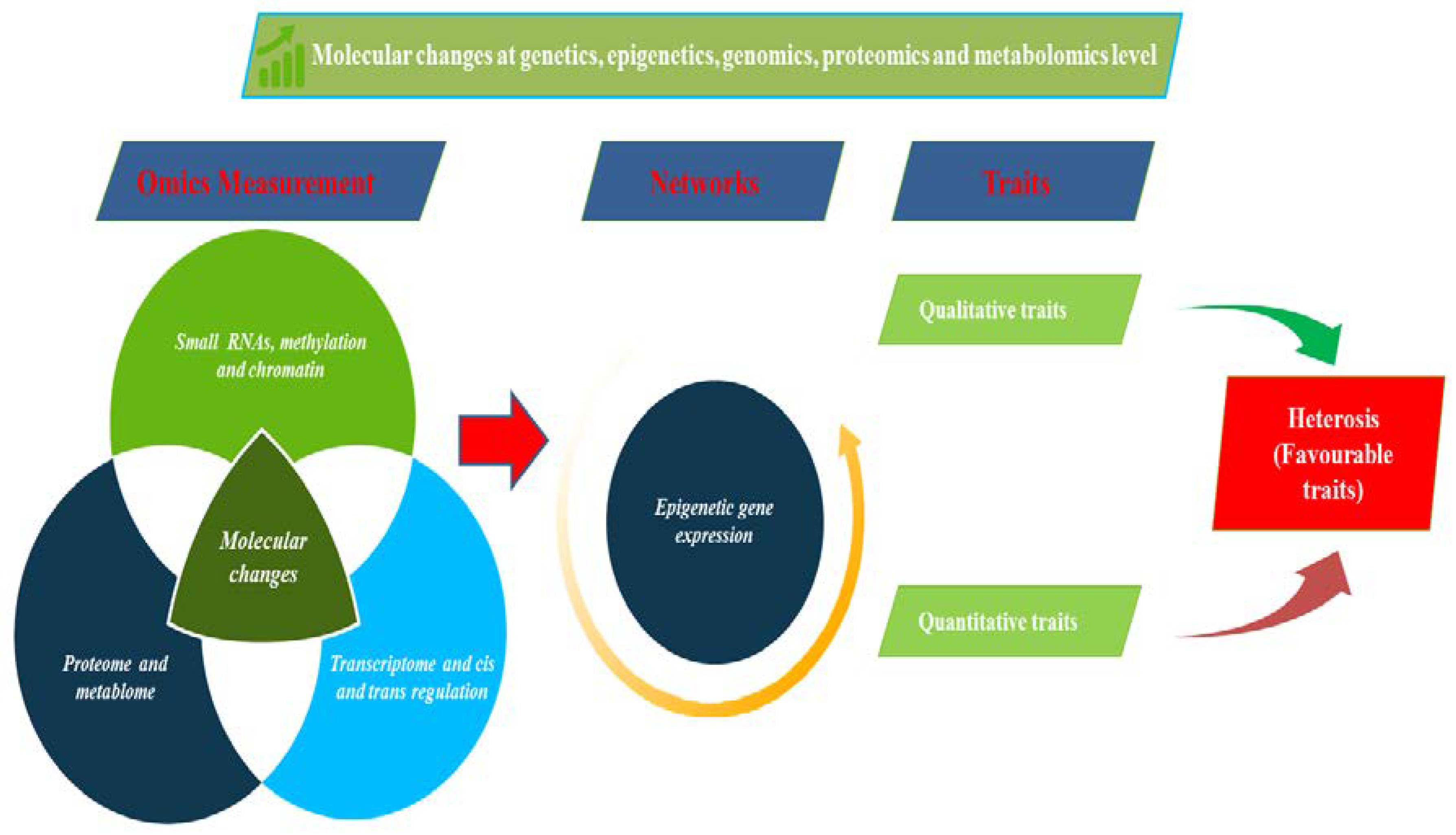 Plants 09 00403 g002