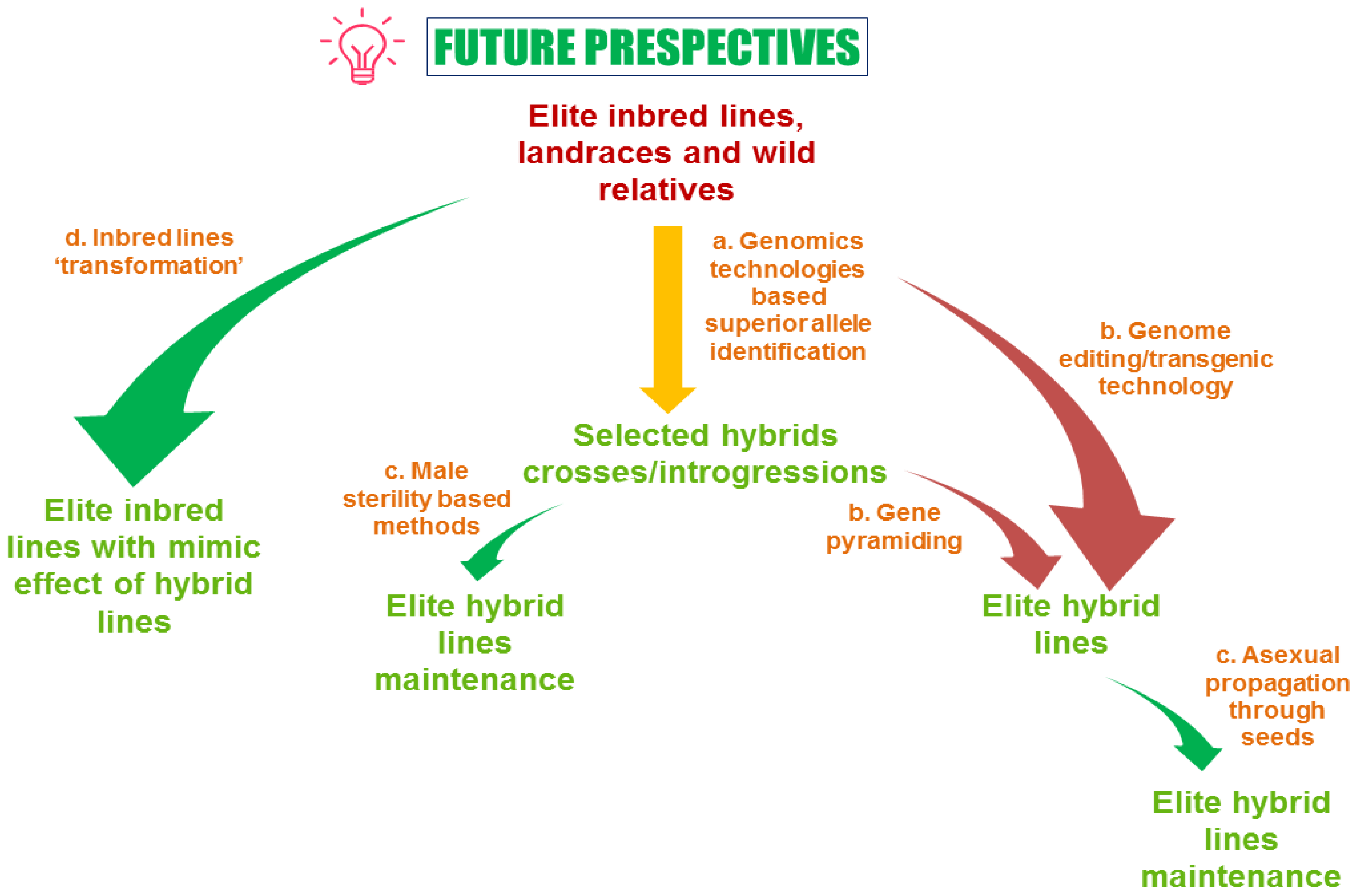 Plants 09 00403 g003