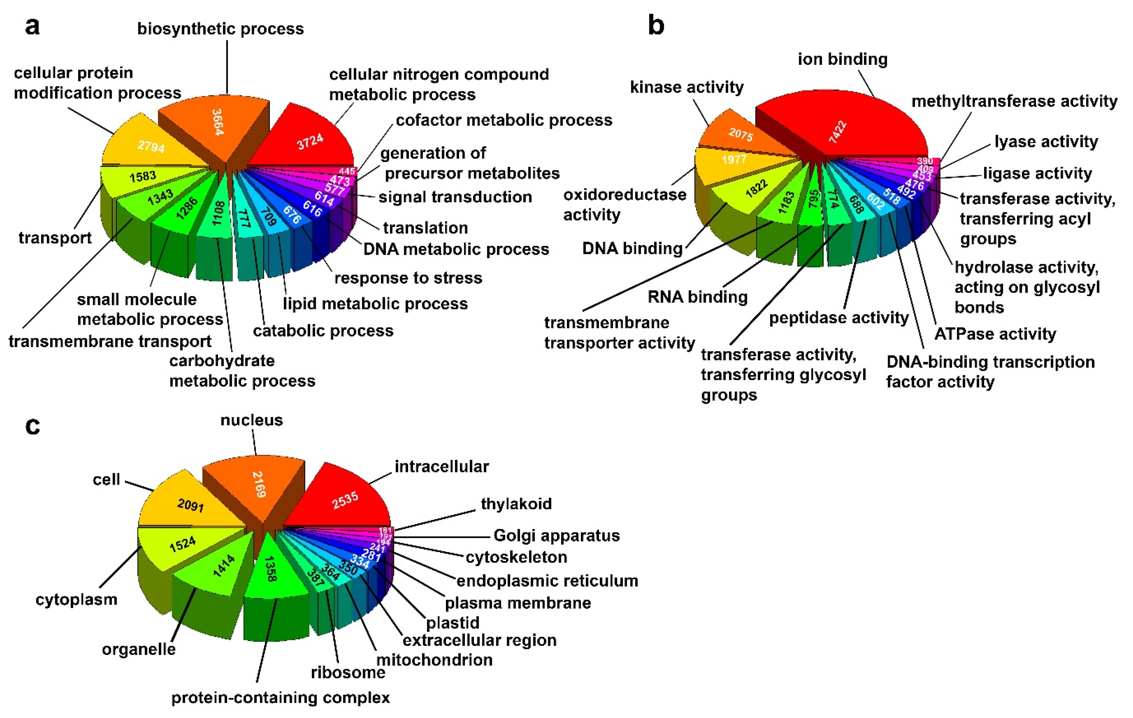 Plants 09 00405 g002