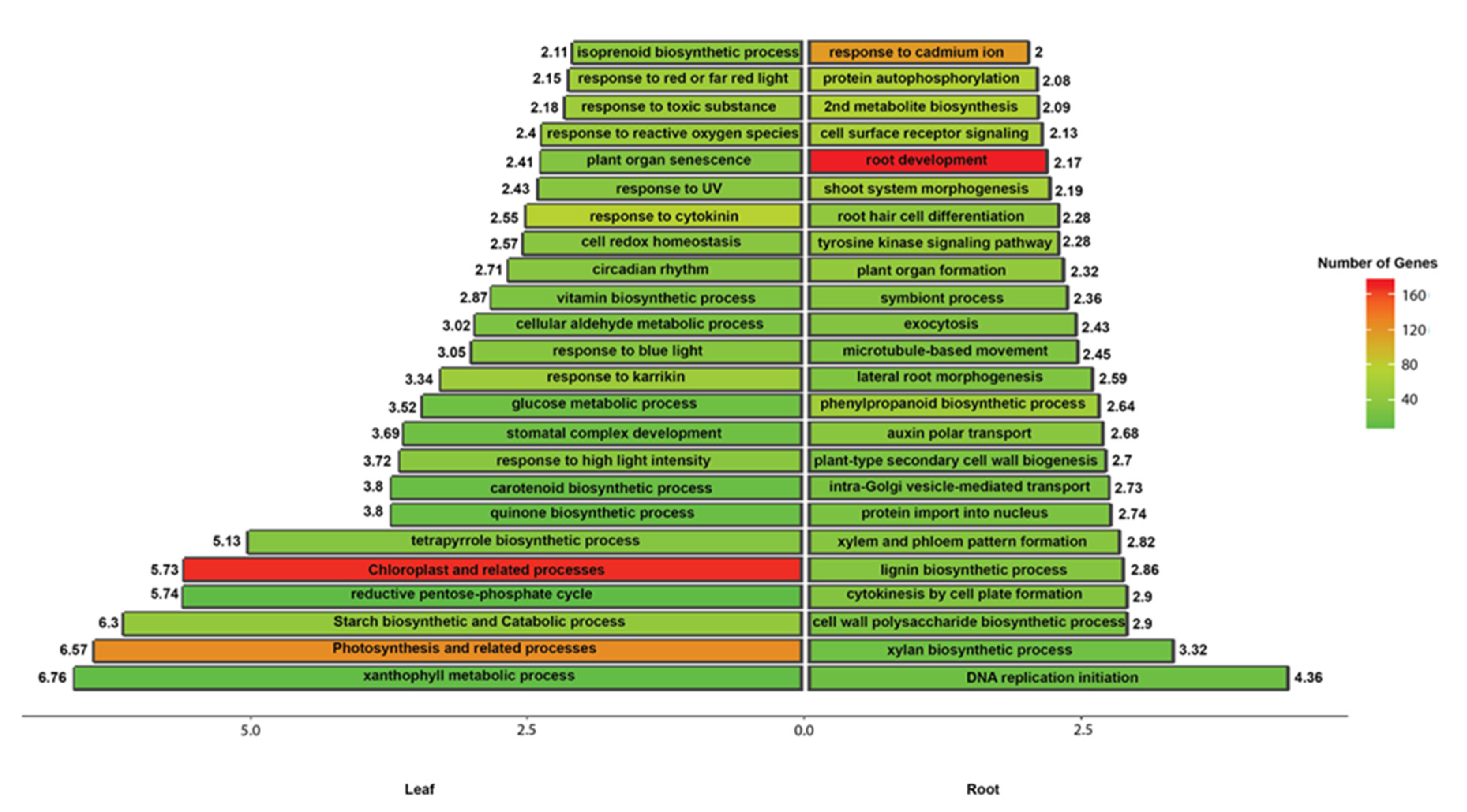 Plants 09 00405 g003