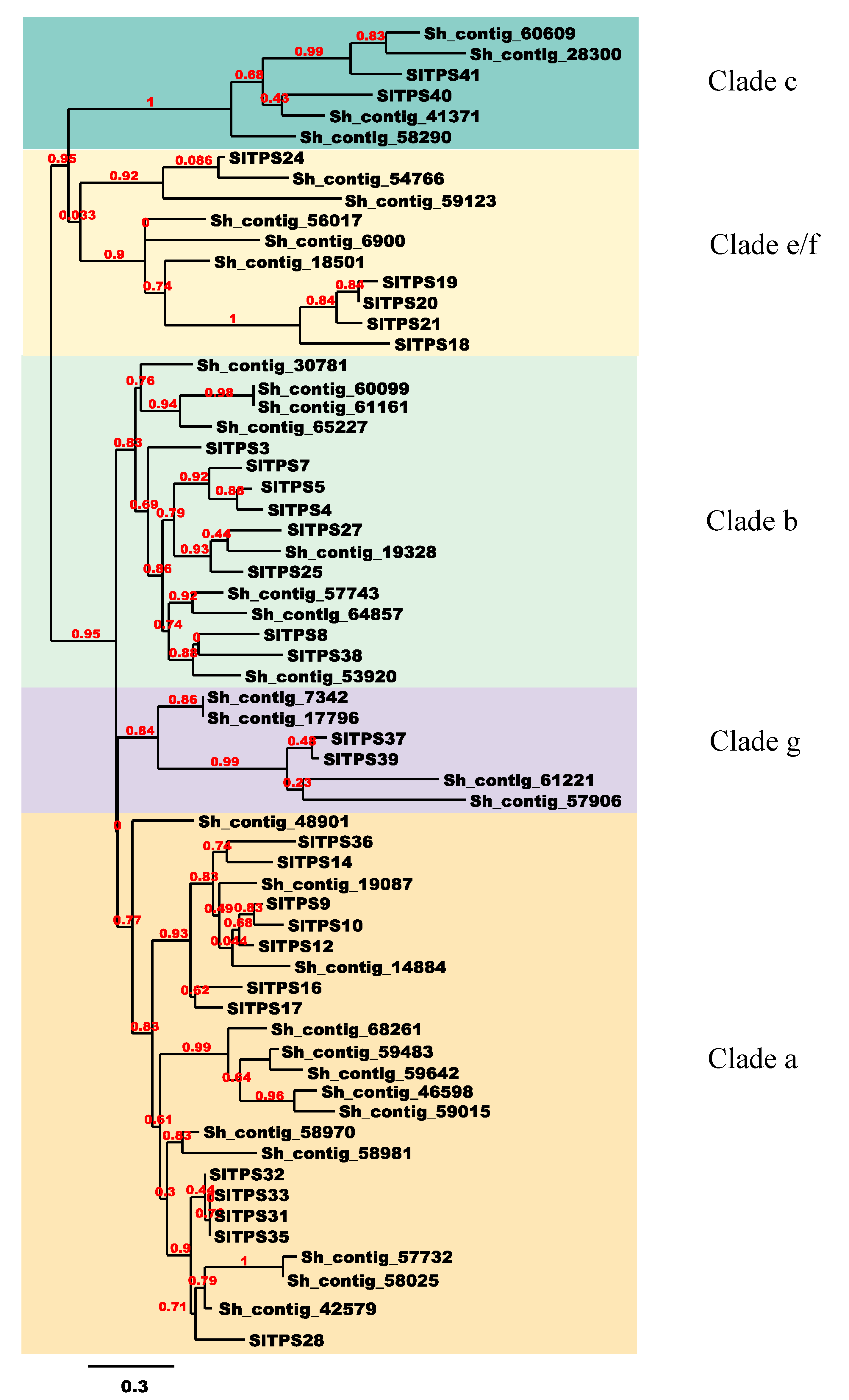 Plants 09 00405 g006