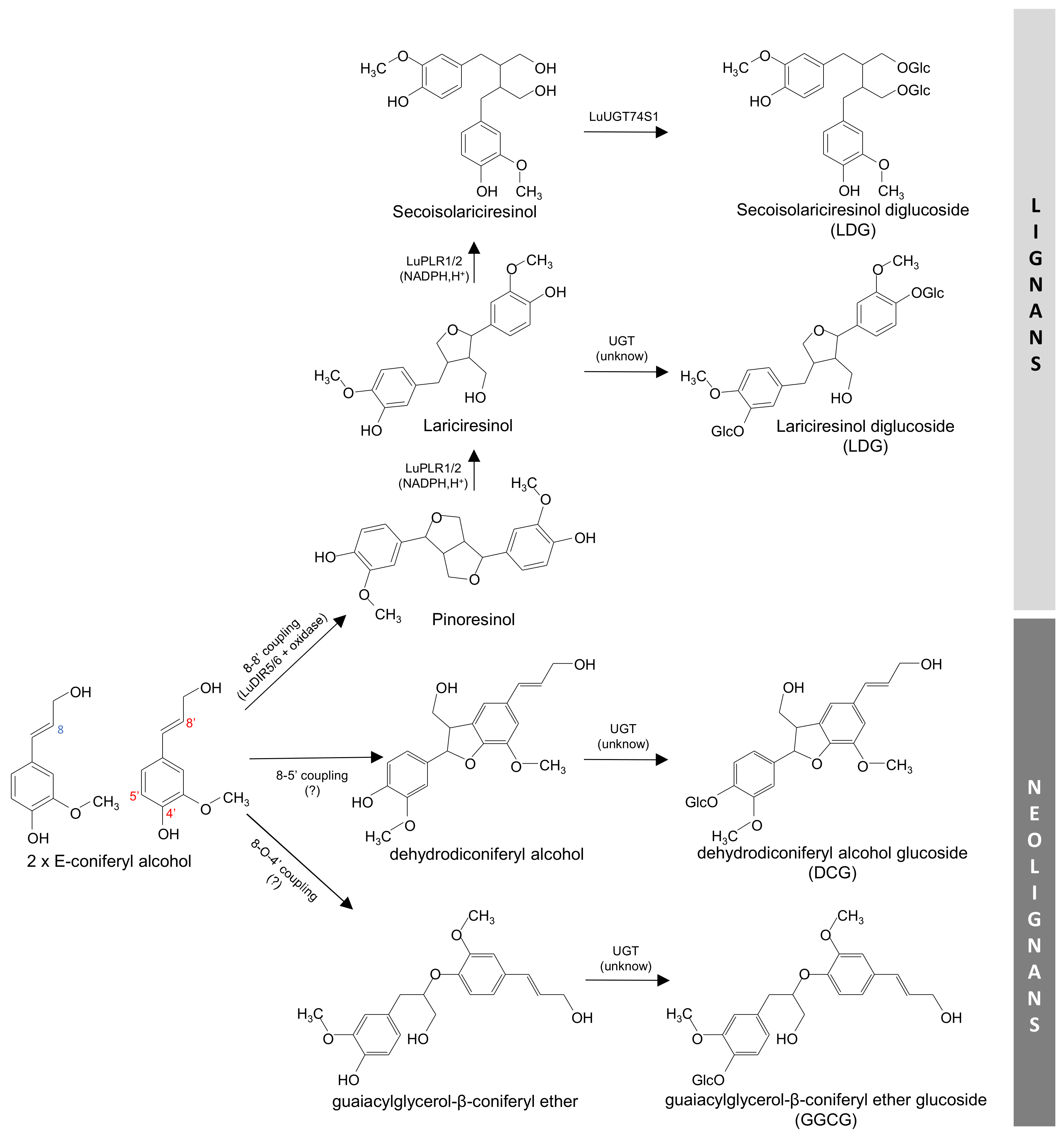 Plants 09 00409 g001