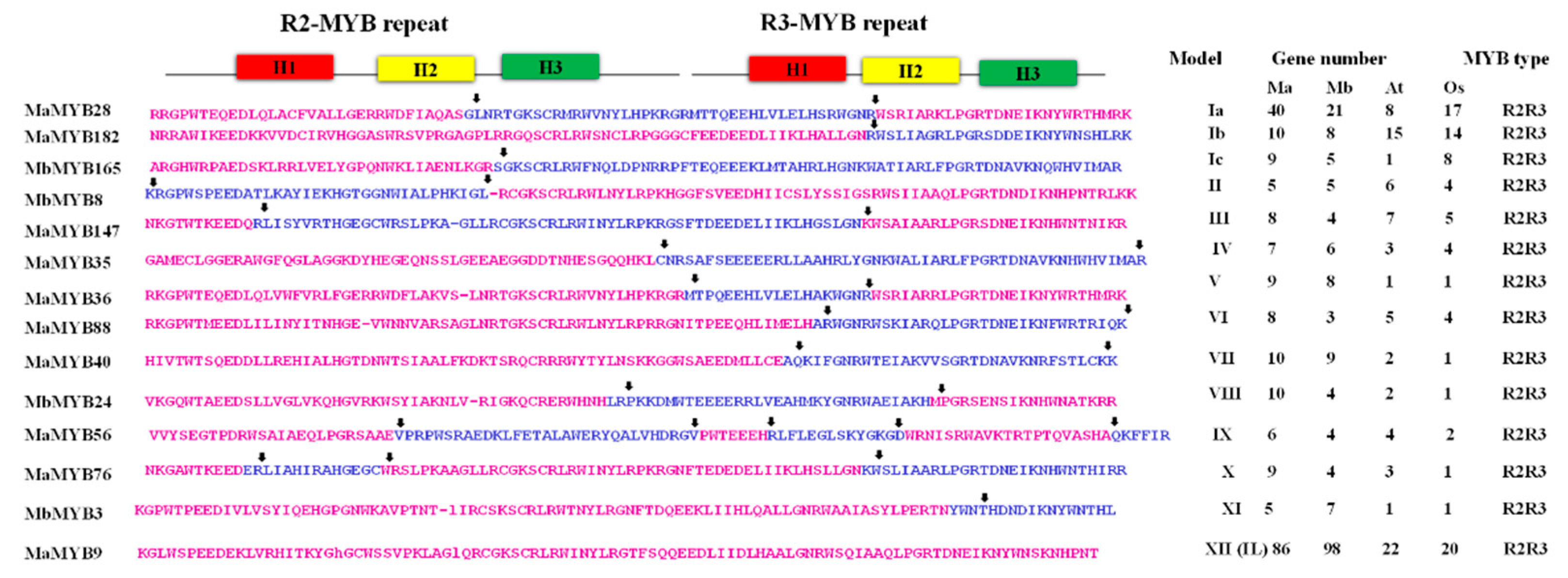 Plants 09 00413 g001