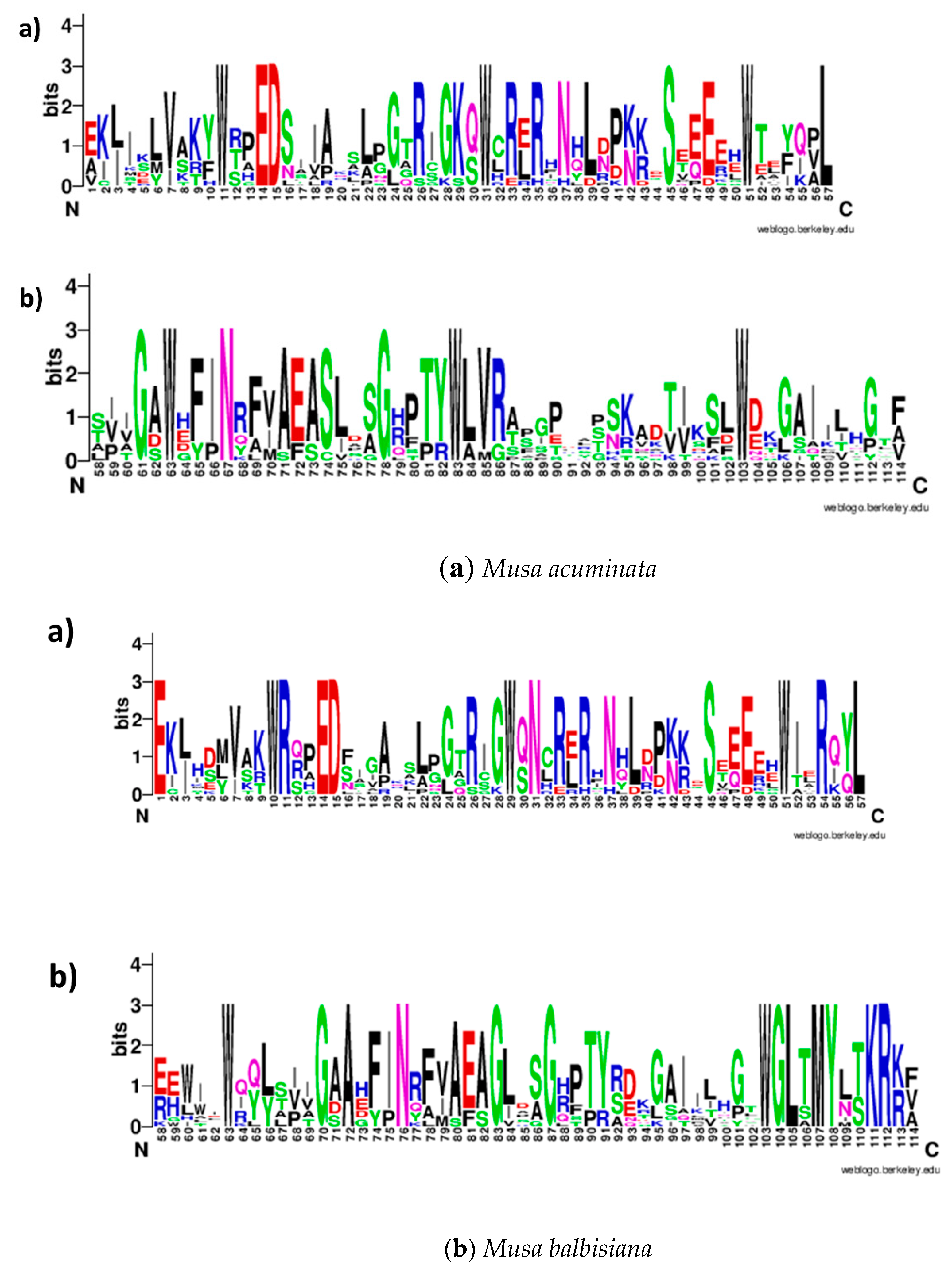 Plants 09 00413 g002